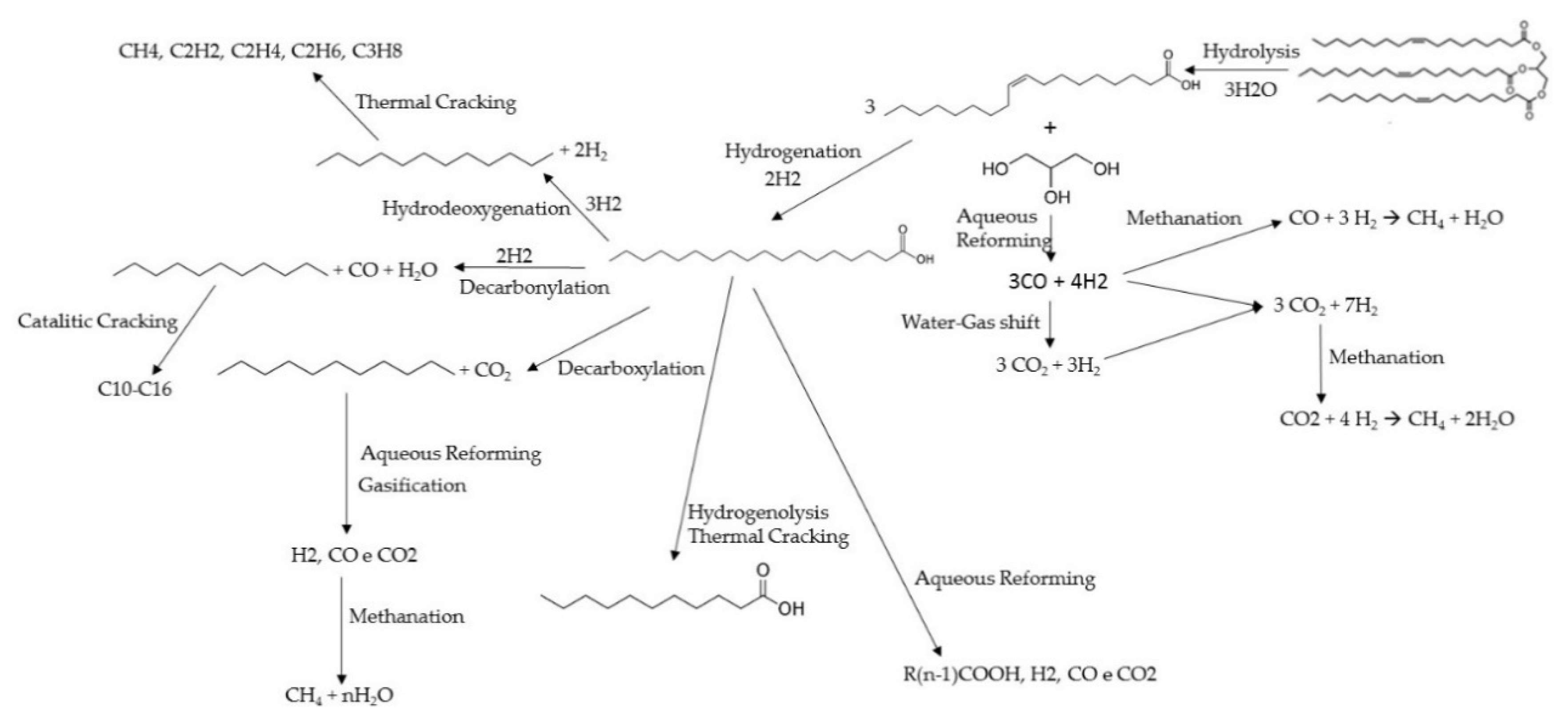 Catalysts 10 00843 sch003