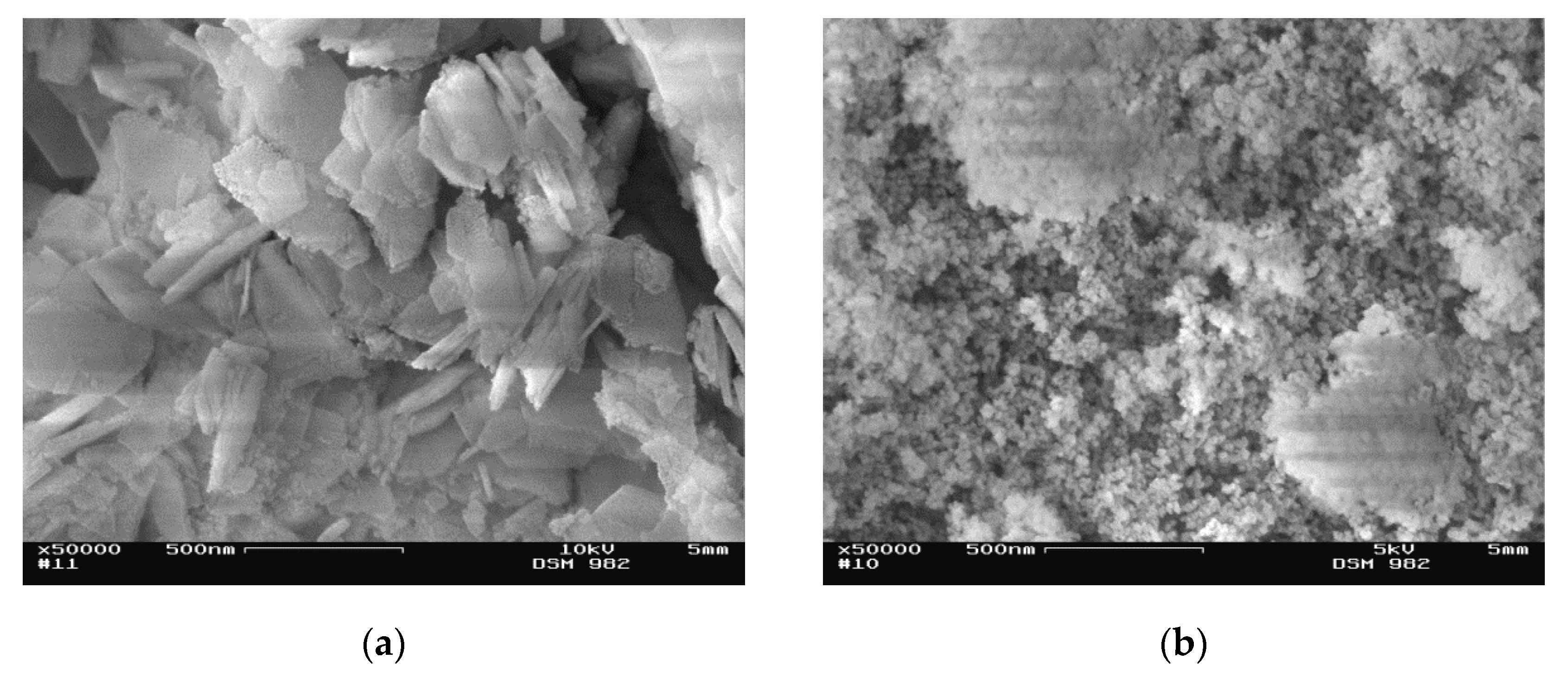 Catalysts 10 00854 g003 Catalysts 10 00854 g003
