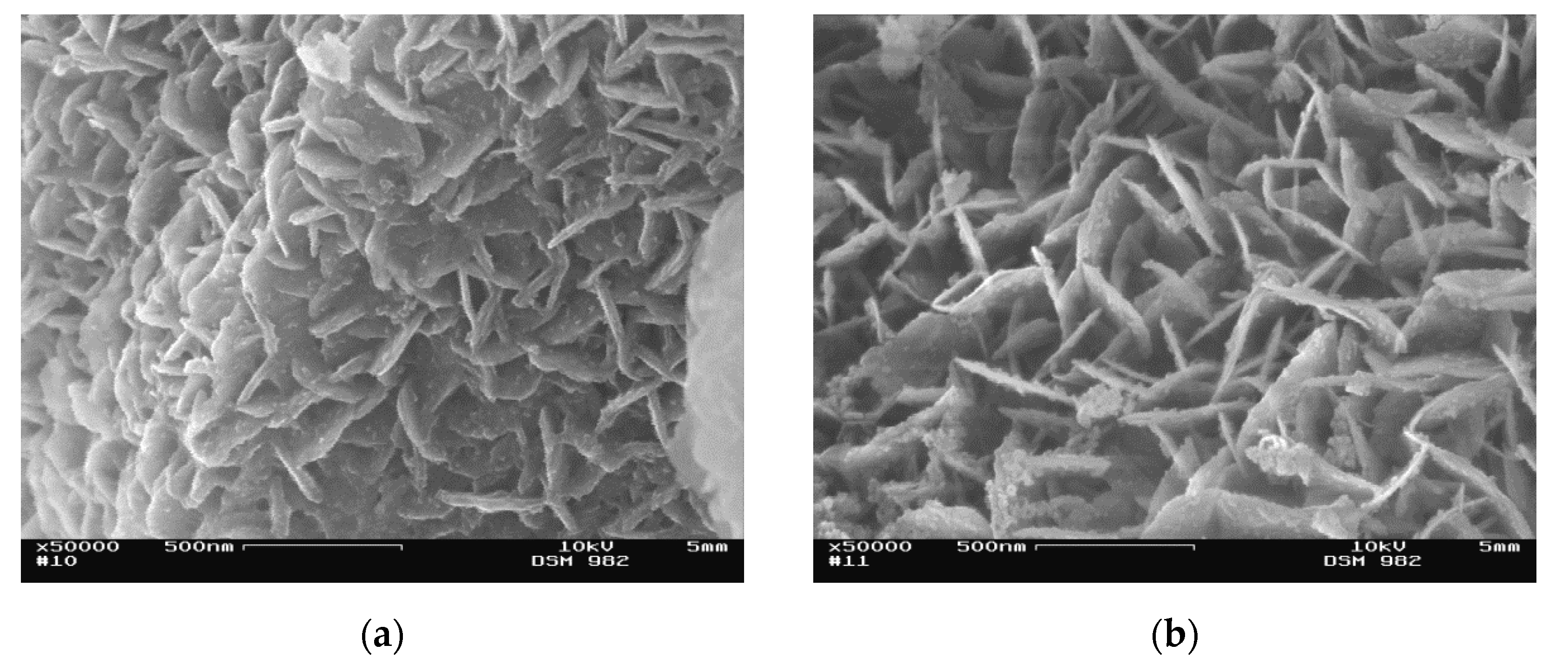 Catalysts 10 00854 g009 Catalysts 10 00854 g009