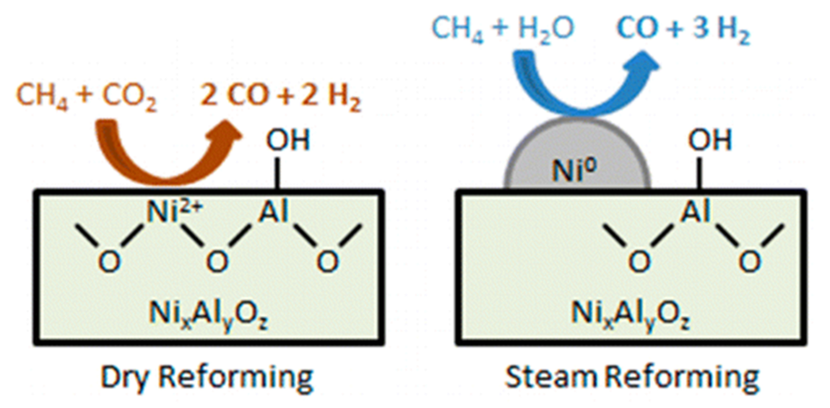Catalysts 10 00858 g003