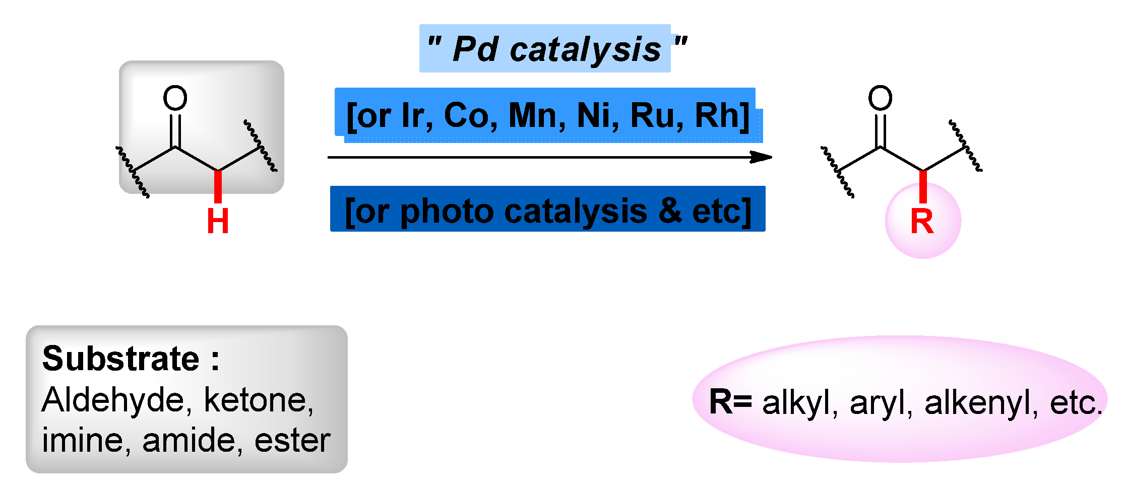 Catalysts 10 00861 sch001 Catalysts 10 00861 sch001