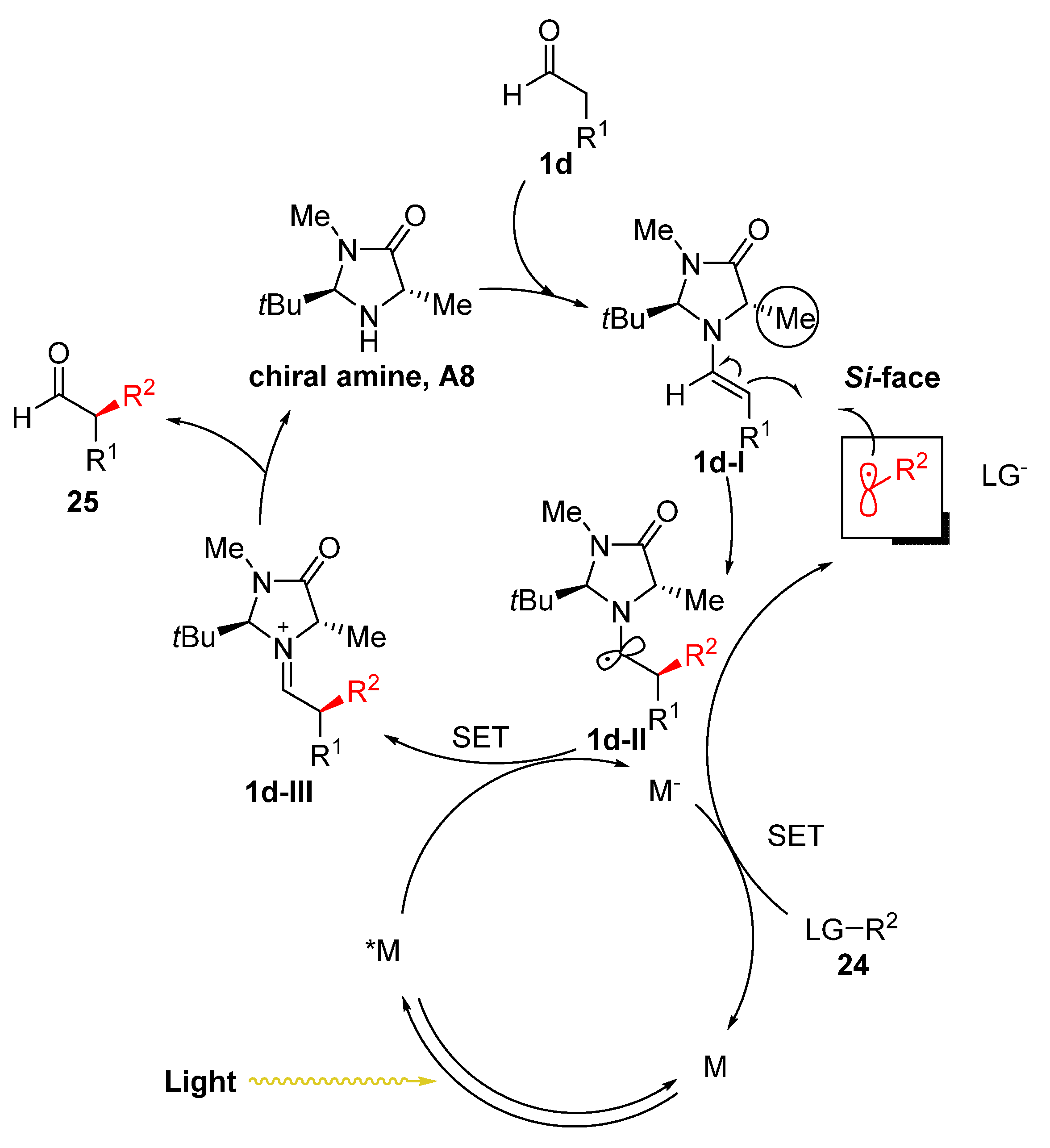 Catalysts 10 00861 sch012 Catalysts 10 00861 sch012