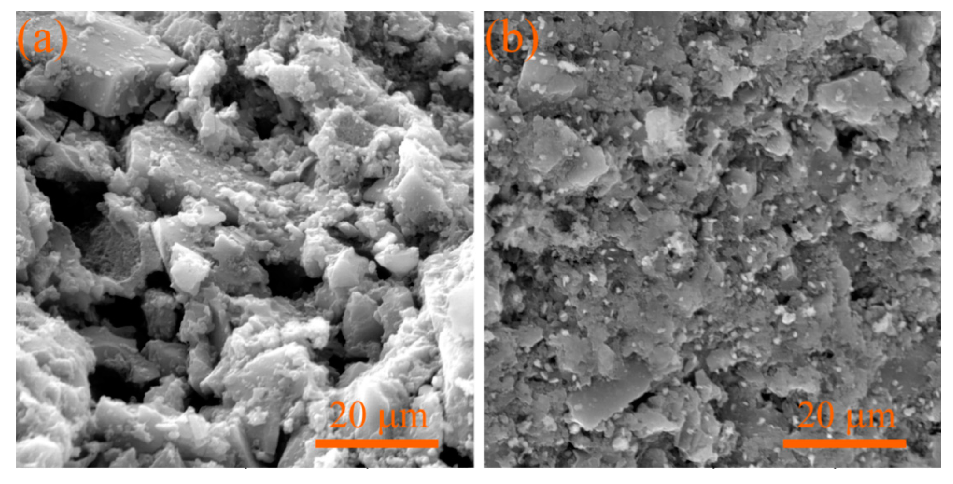 Catalysts 10 00873 g003