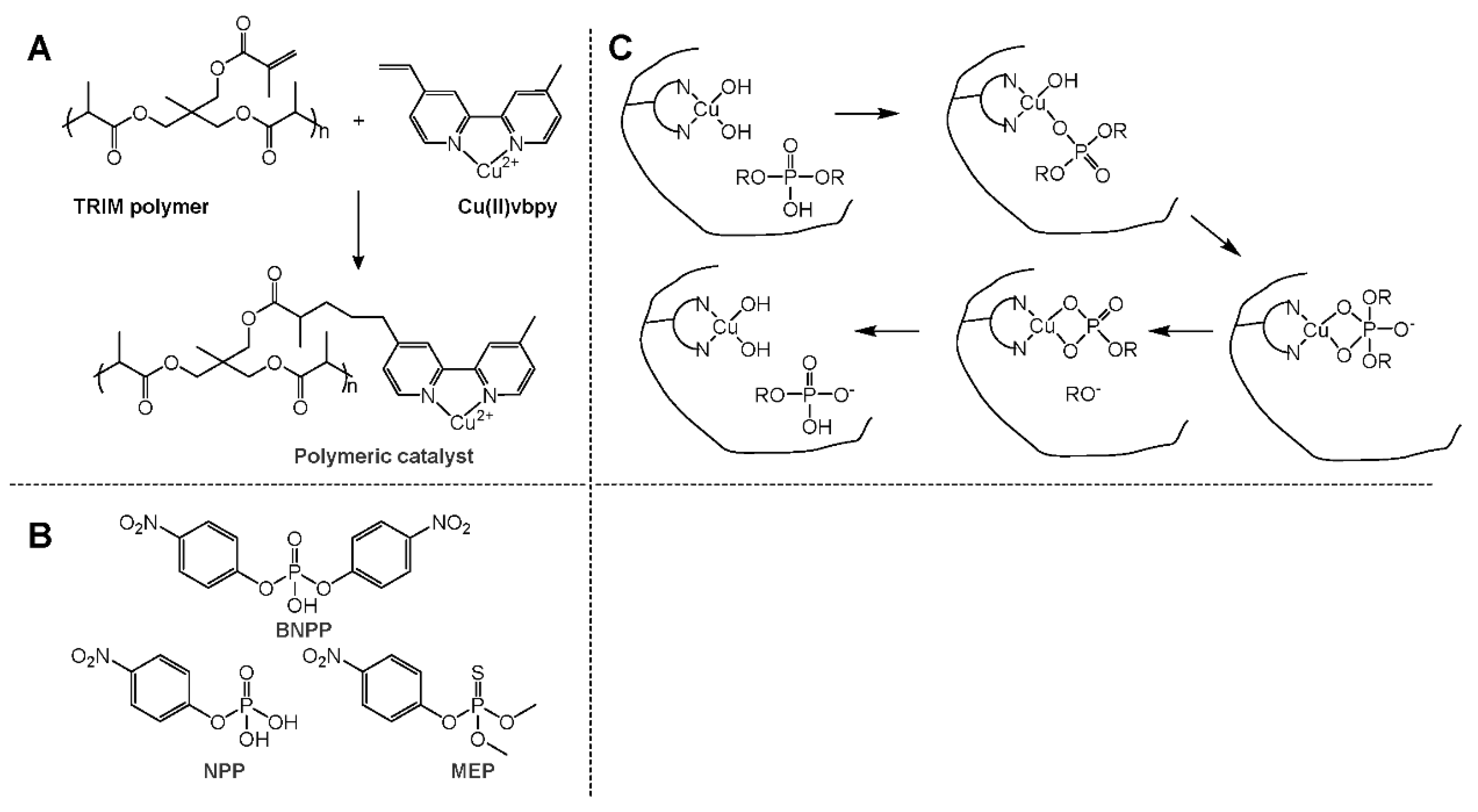 Catalysts 10 00881 sch004 Catalysts 10 00881 sch004