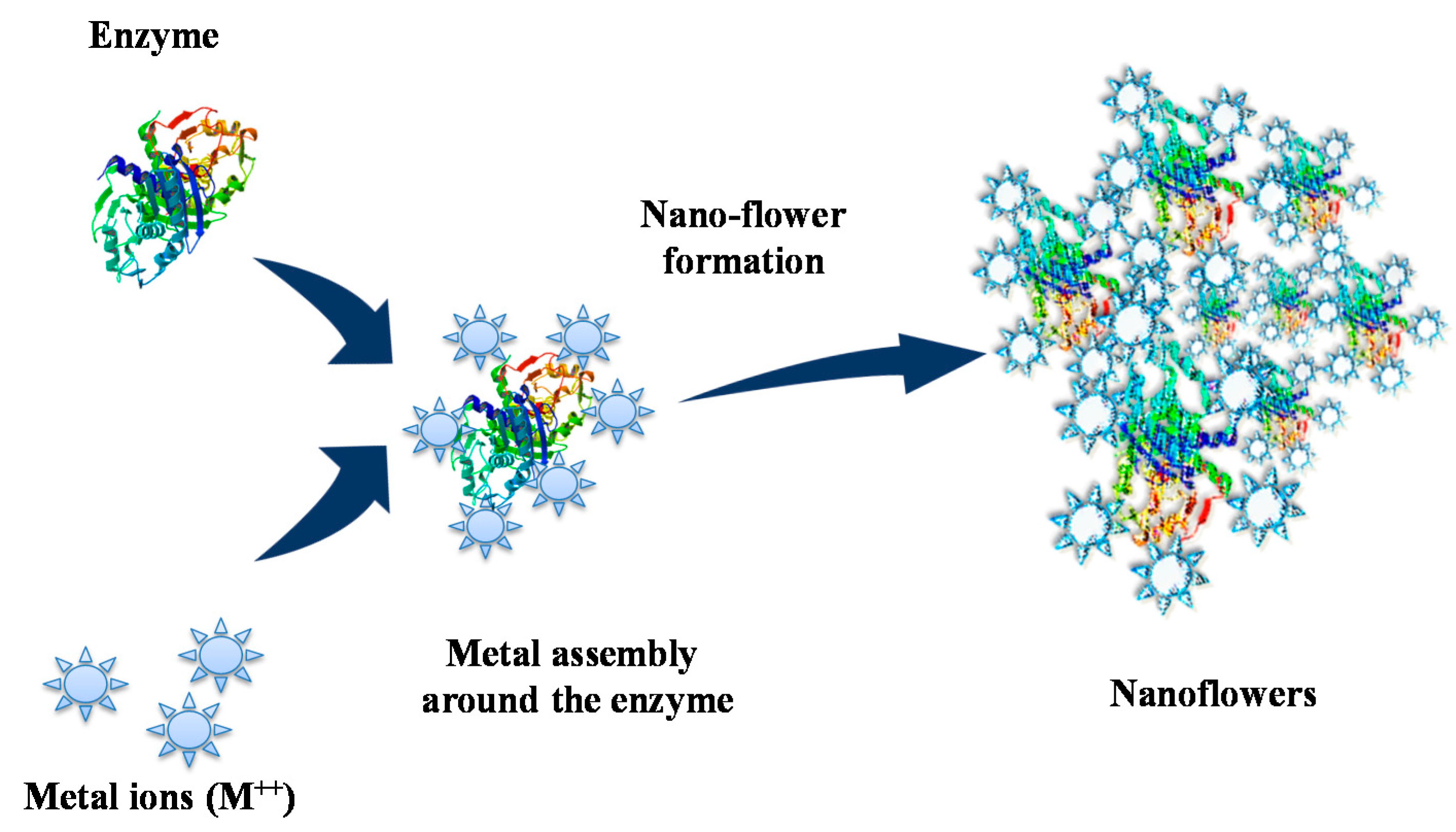 Catalysts 10 00891 g003