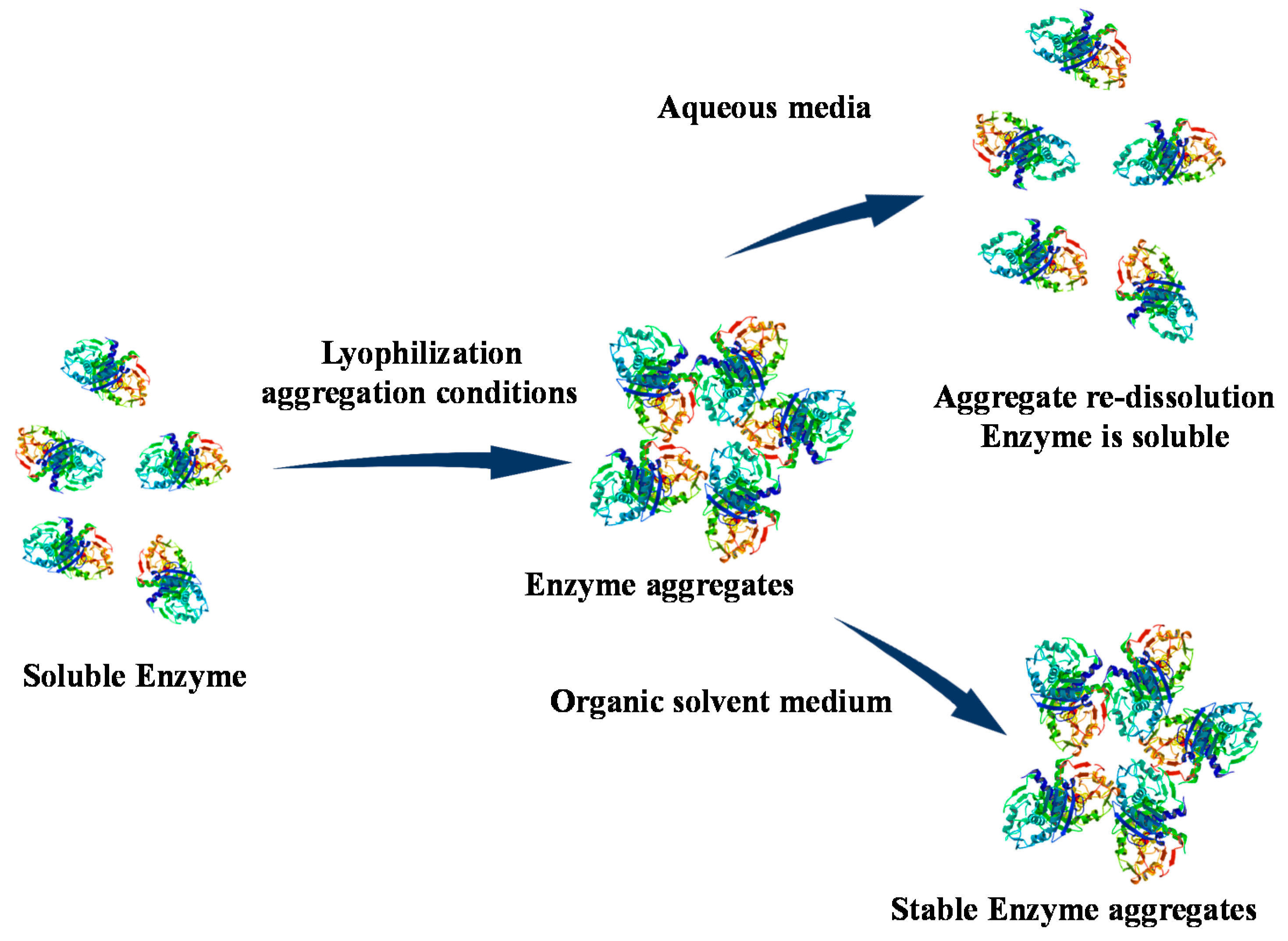 Catalysts 10 00891 g004