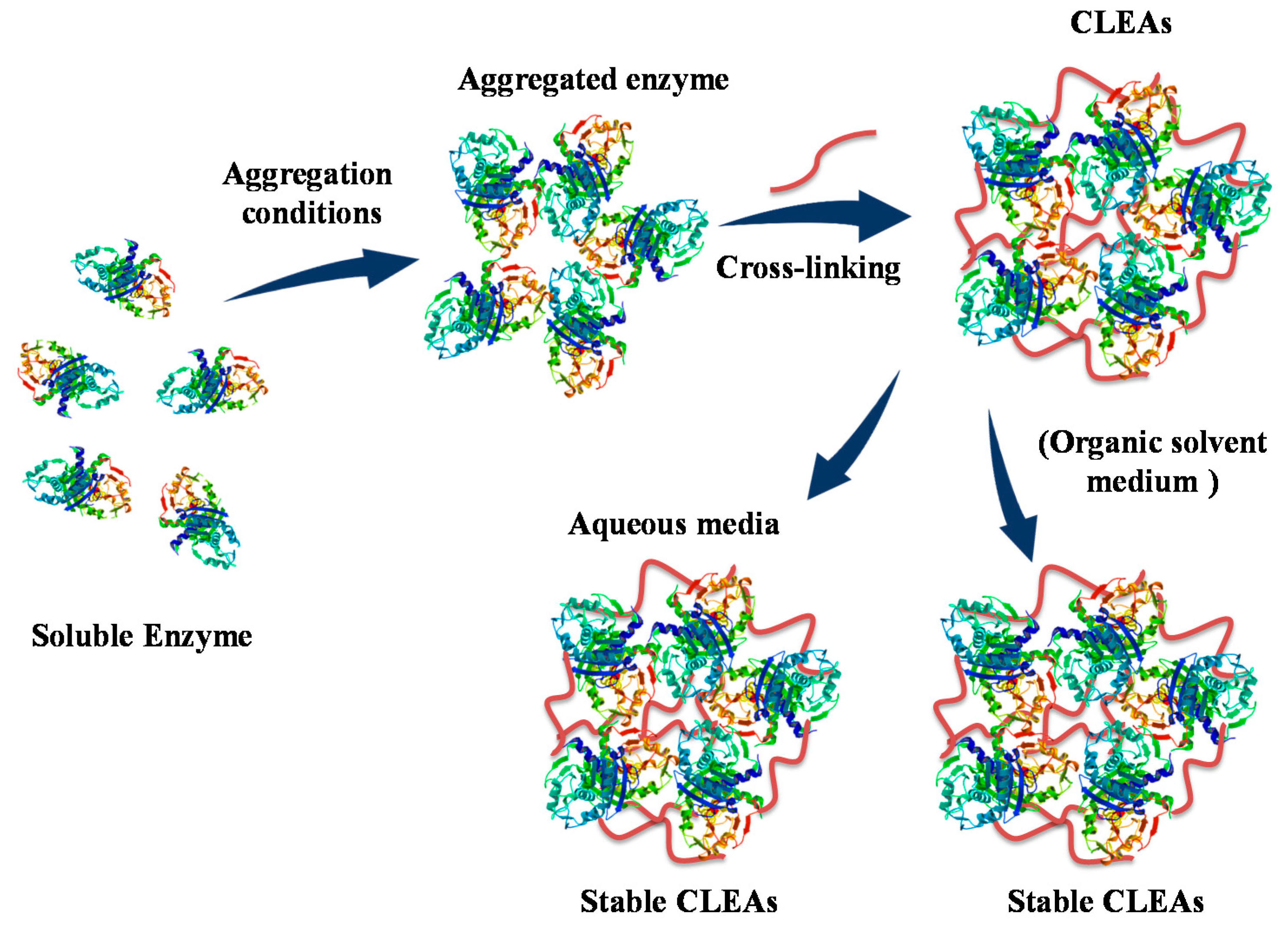 Catalysts 10 00891 g005