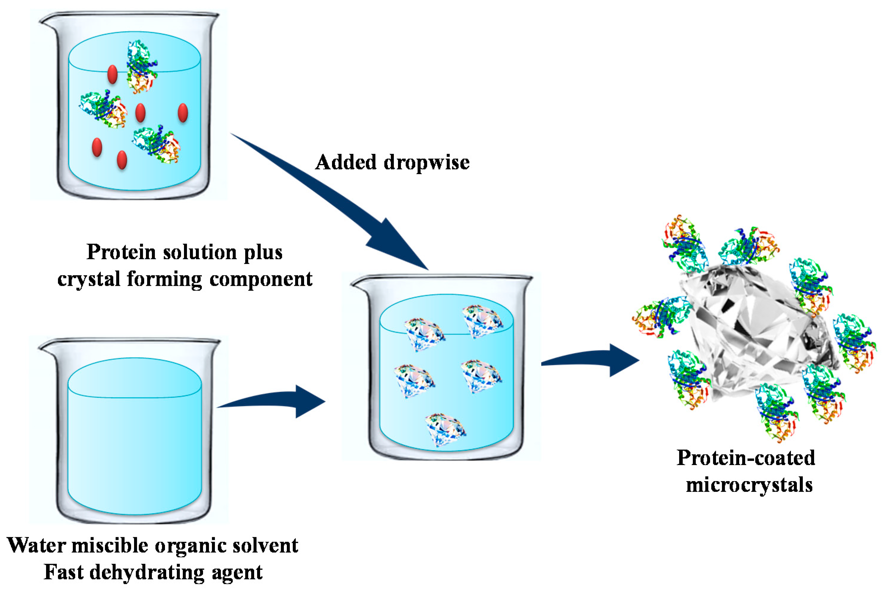 Catalysts 10 00891 g006