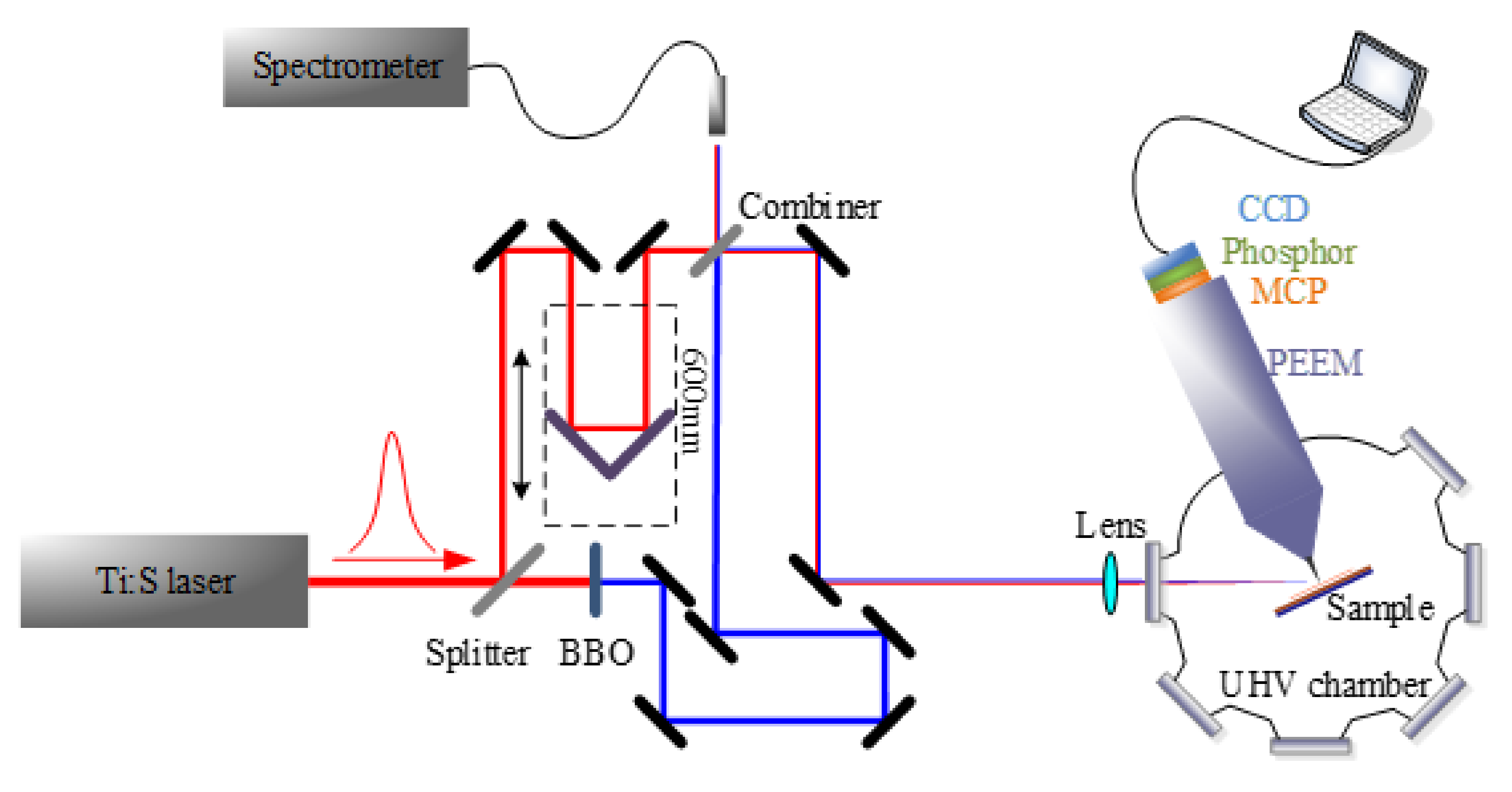Catalysts 10 00916 g013