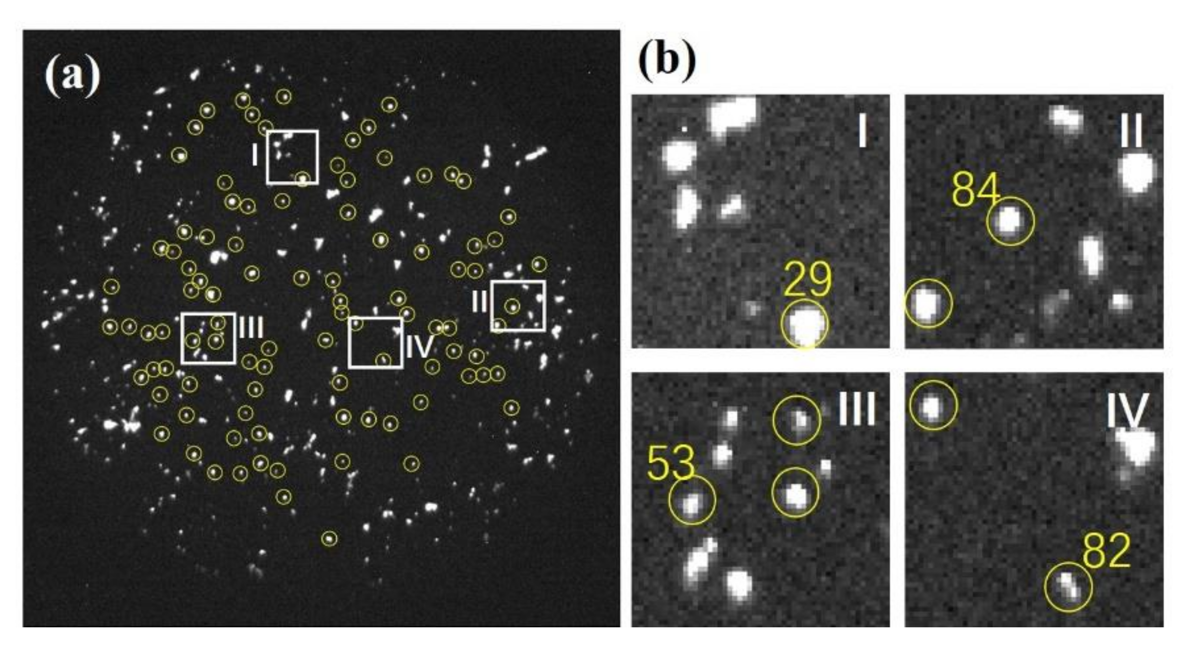 Catalysts 10 00916 g014