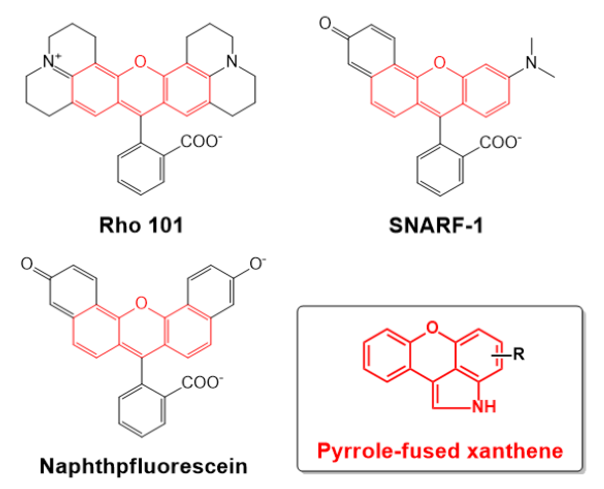 Catalysts 10 00920 g001