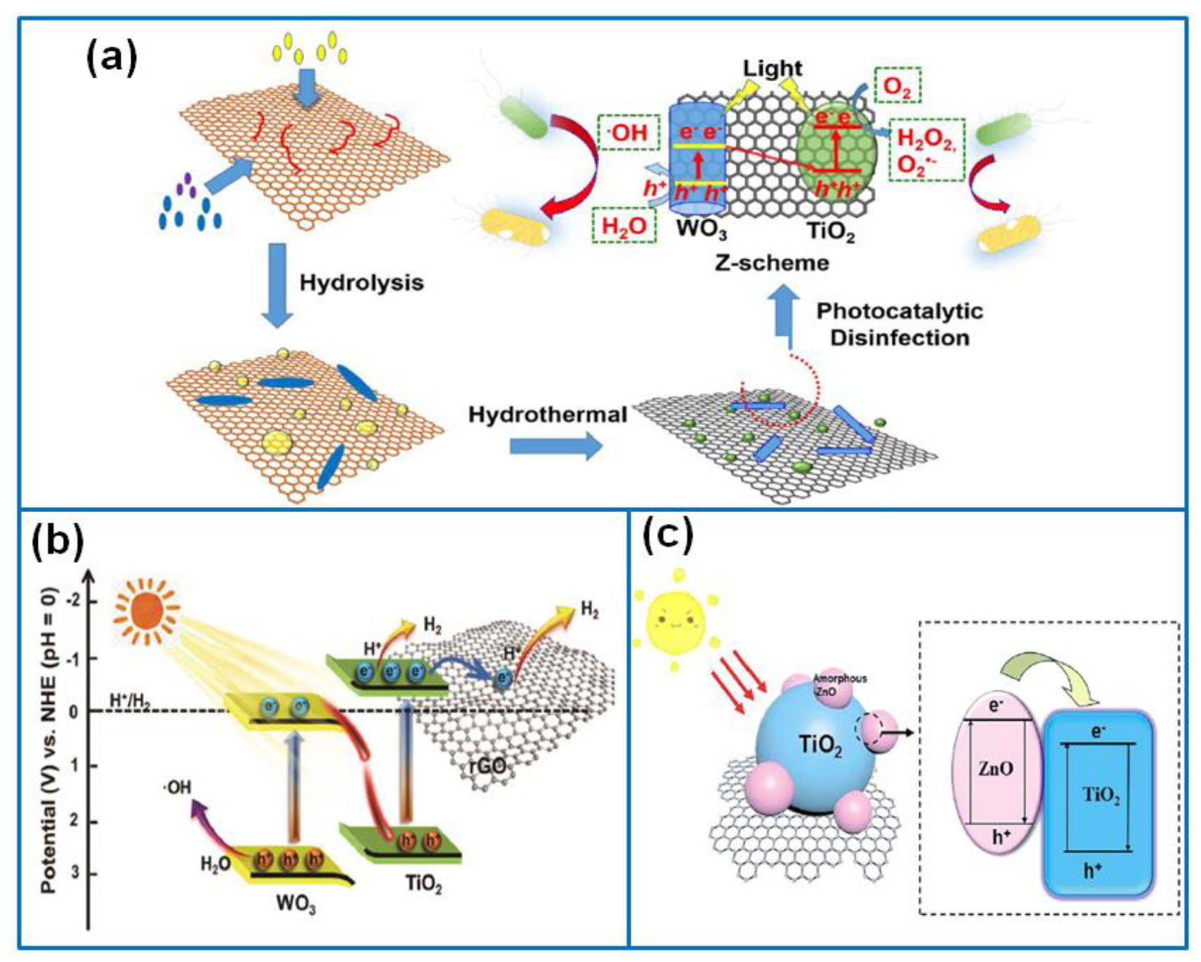 Catalysts 10 00921 g007 Catalysts 10 00921 g007
