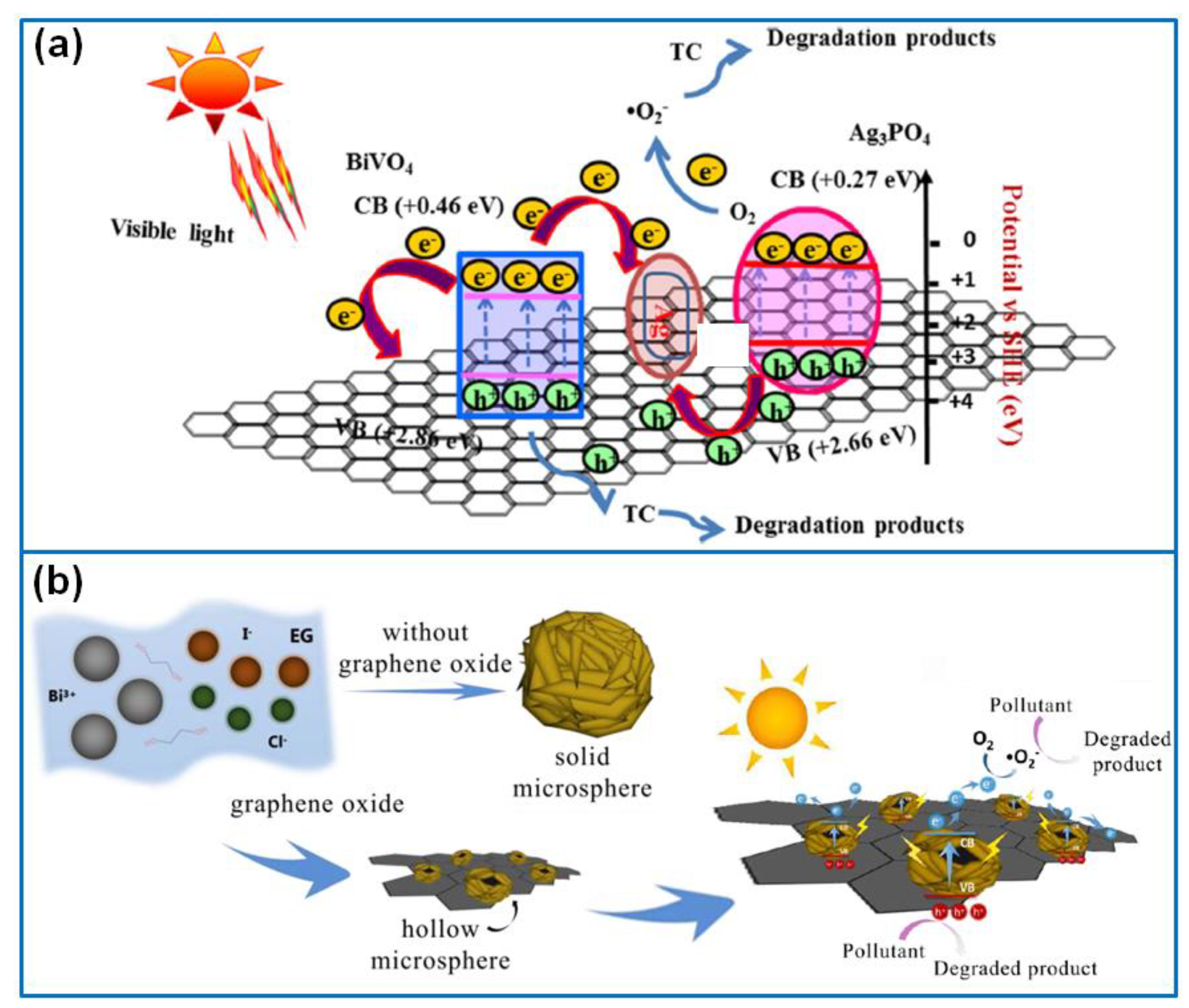 Catalysts 10 00921 g009 Catalysts 10 00921 g009