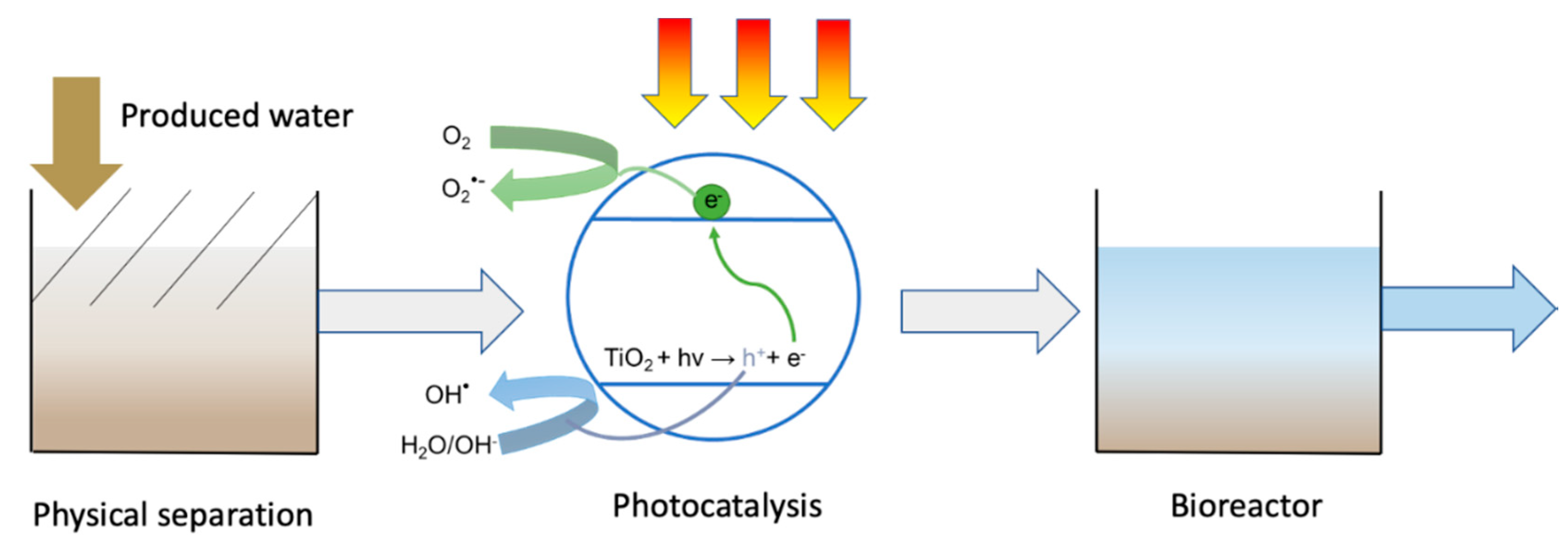 Catalysts 10 00924 g002 Catalysts 10 00924 g002