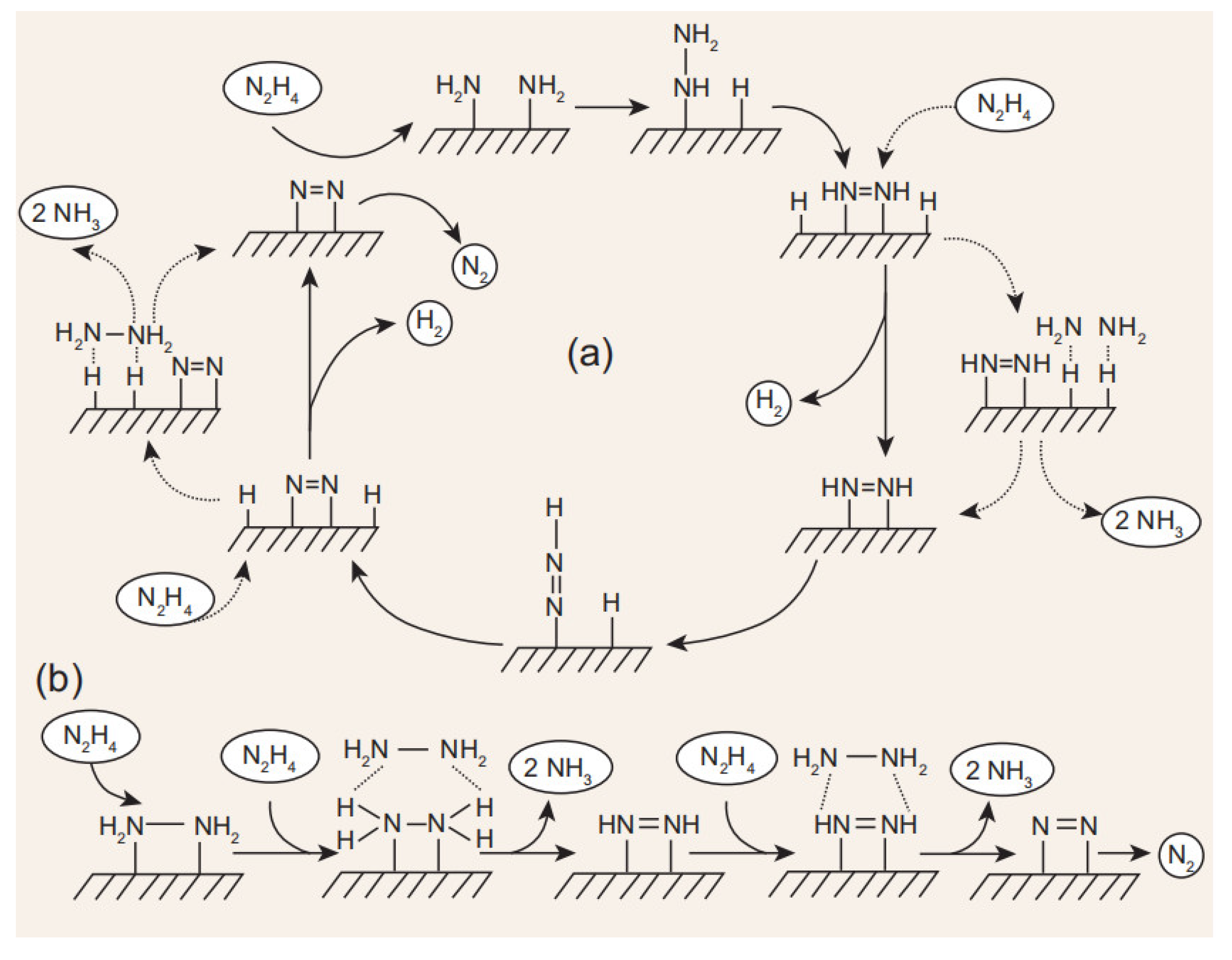Catalysts 10 00930 g001