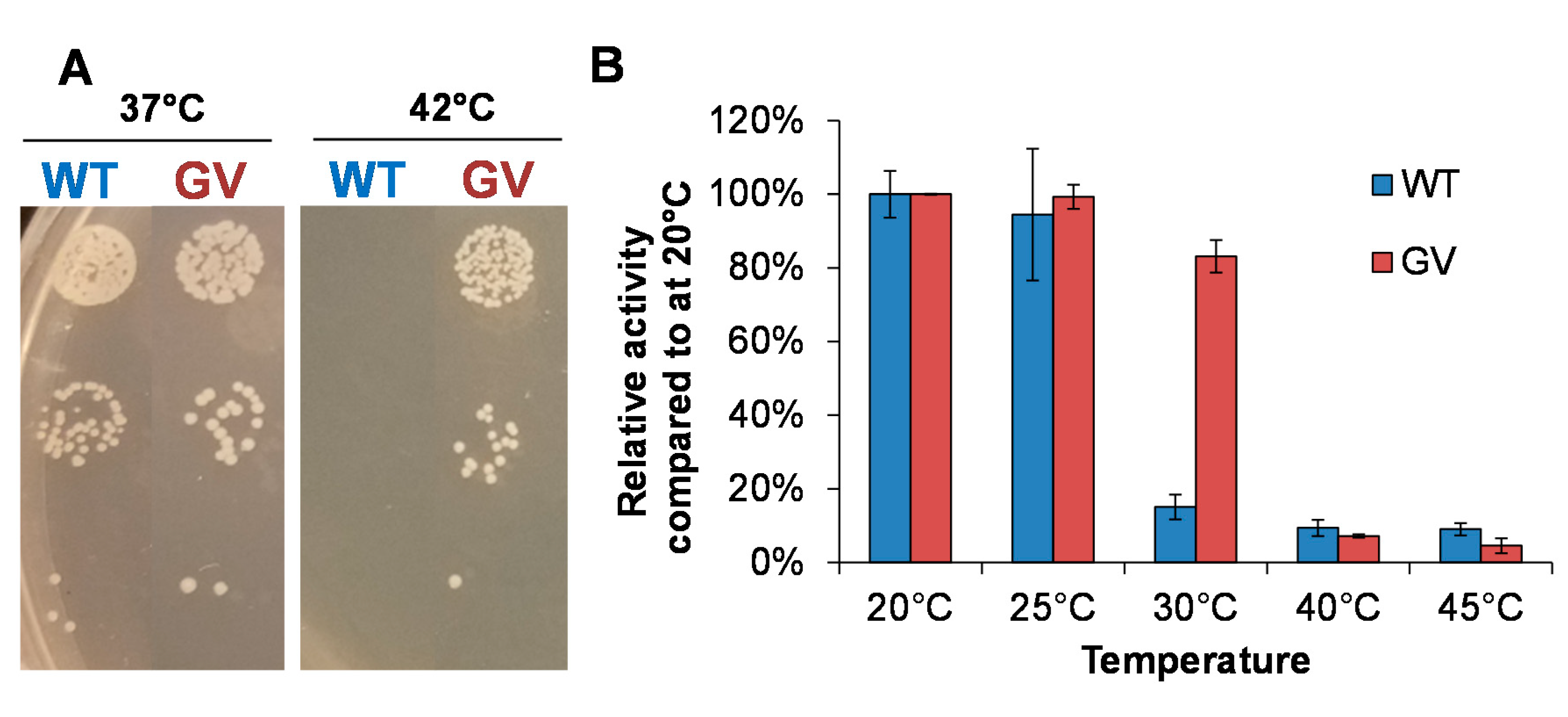 Catalysts 10 00935 g002 Catalysts 10 00935 g002