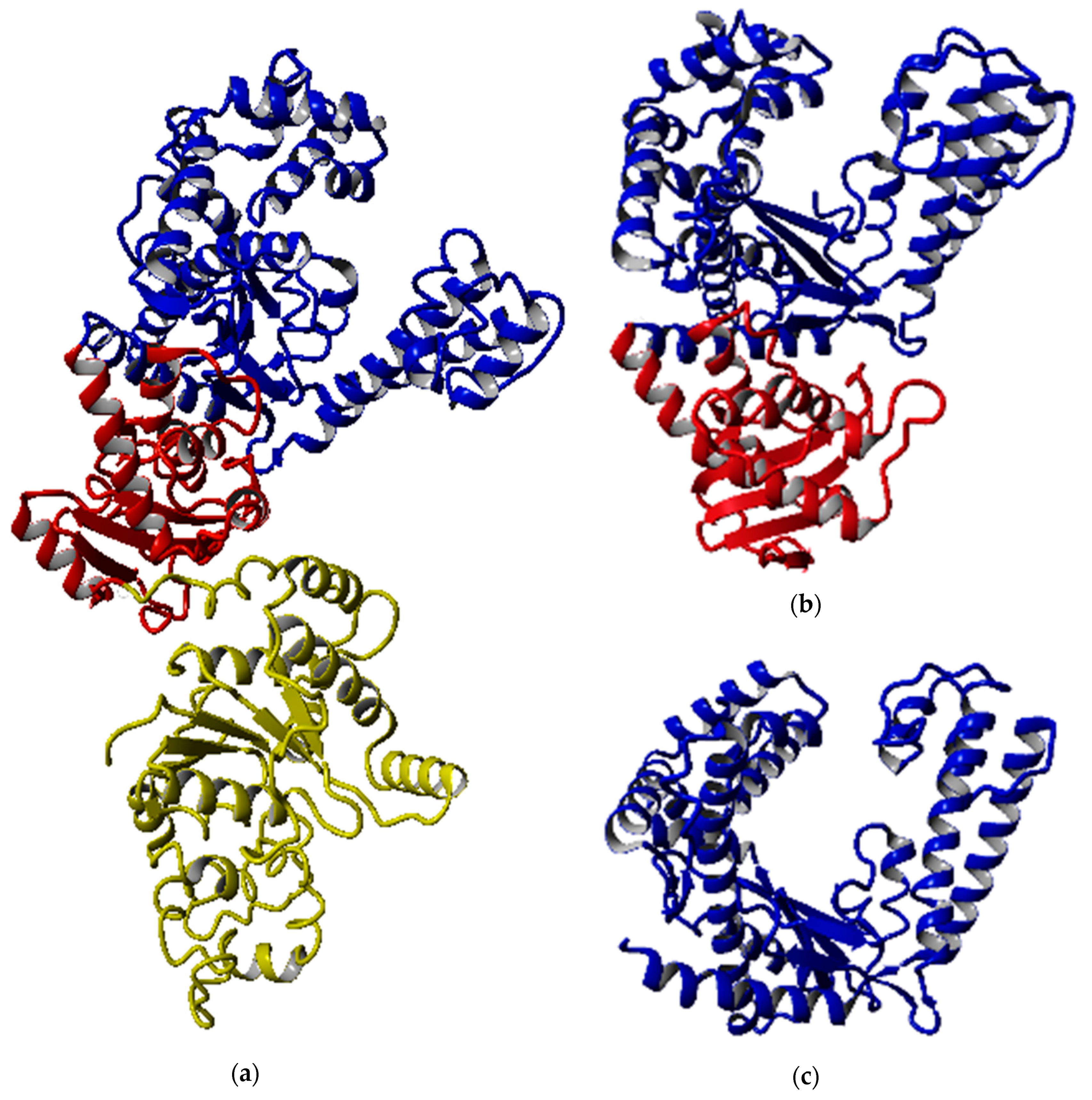 Catalysts 10 00936 g002