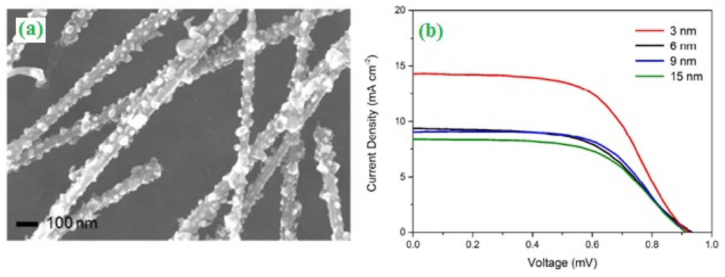 Catalysts 10 00938 g001