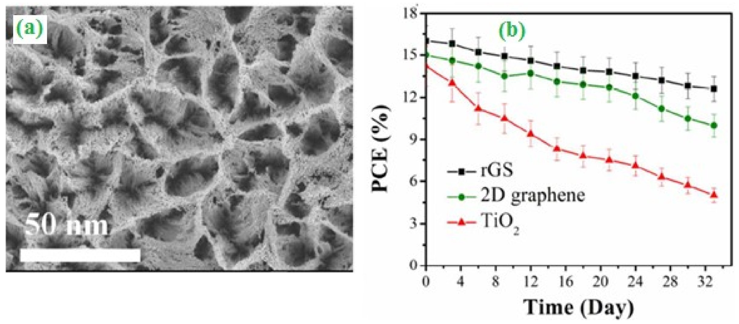 Catalysts 10 00938 g002