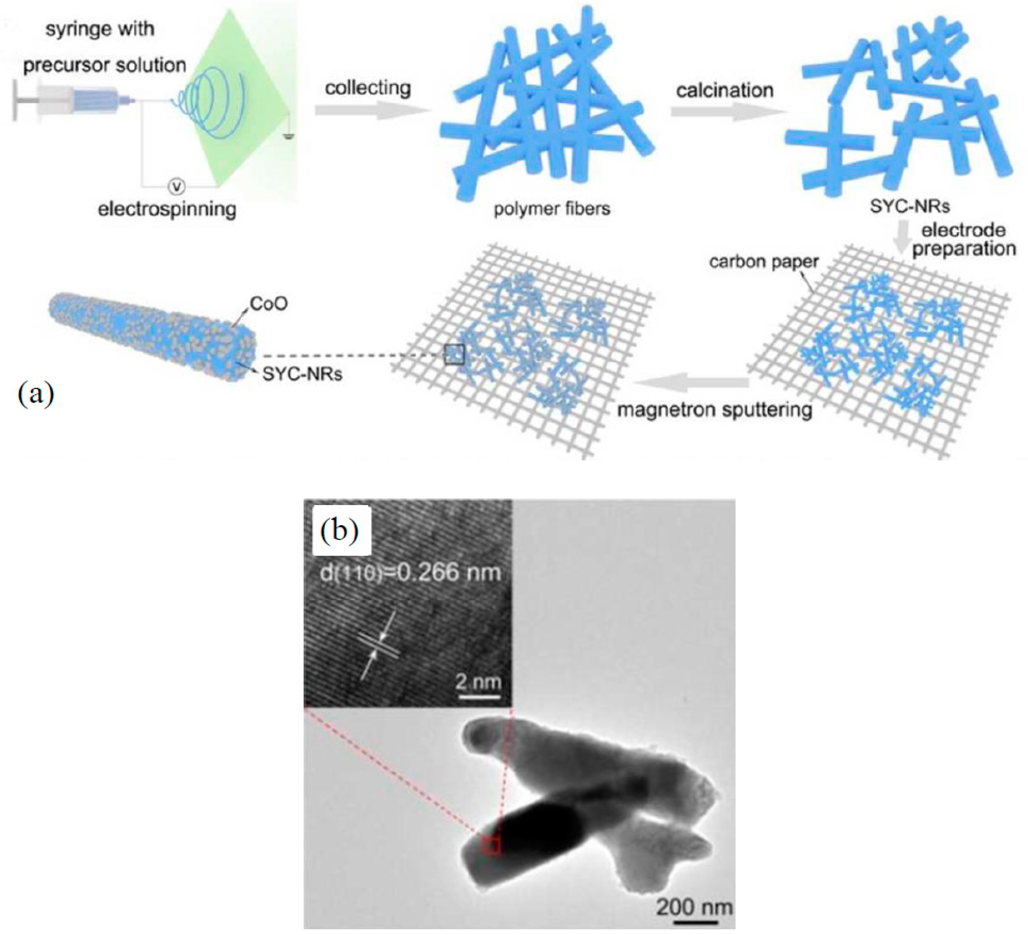 Catalysts 10 00938 g003