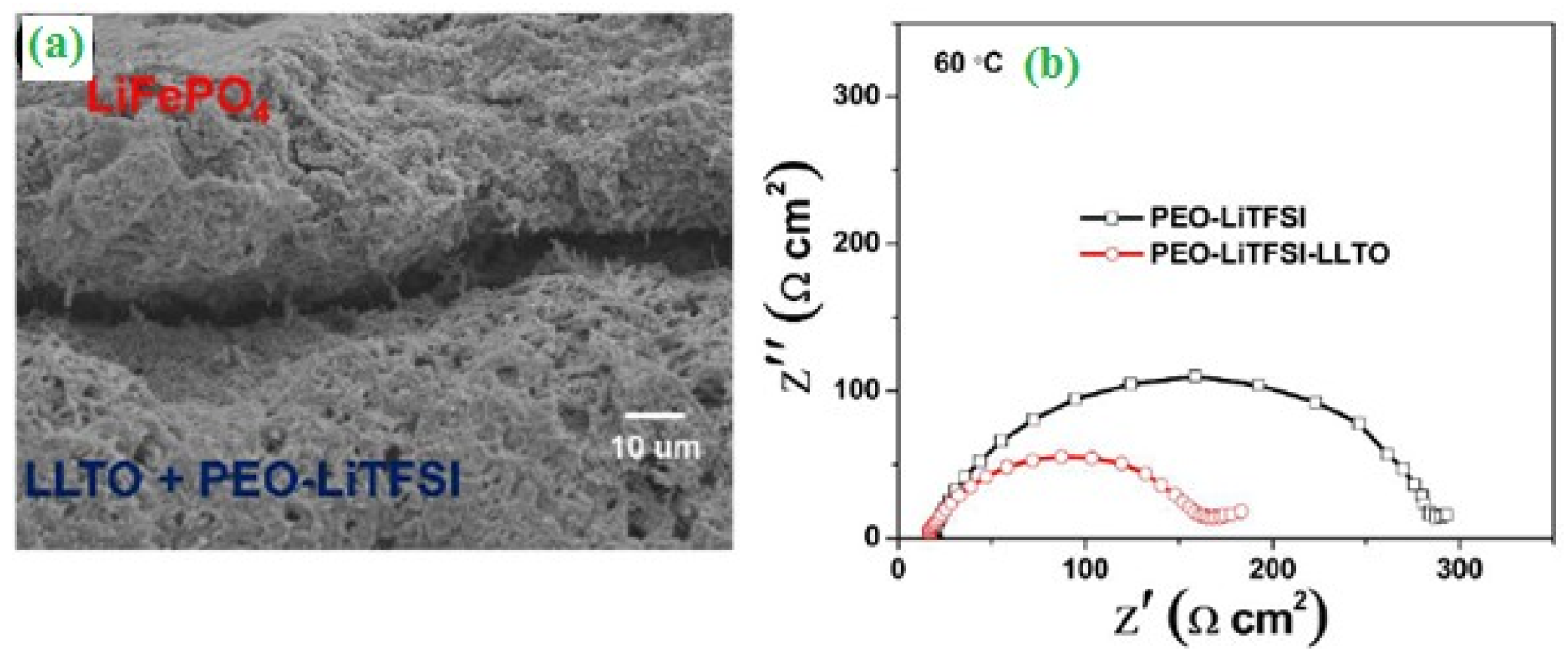 Catalysts 10 00938 g004