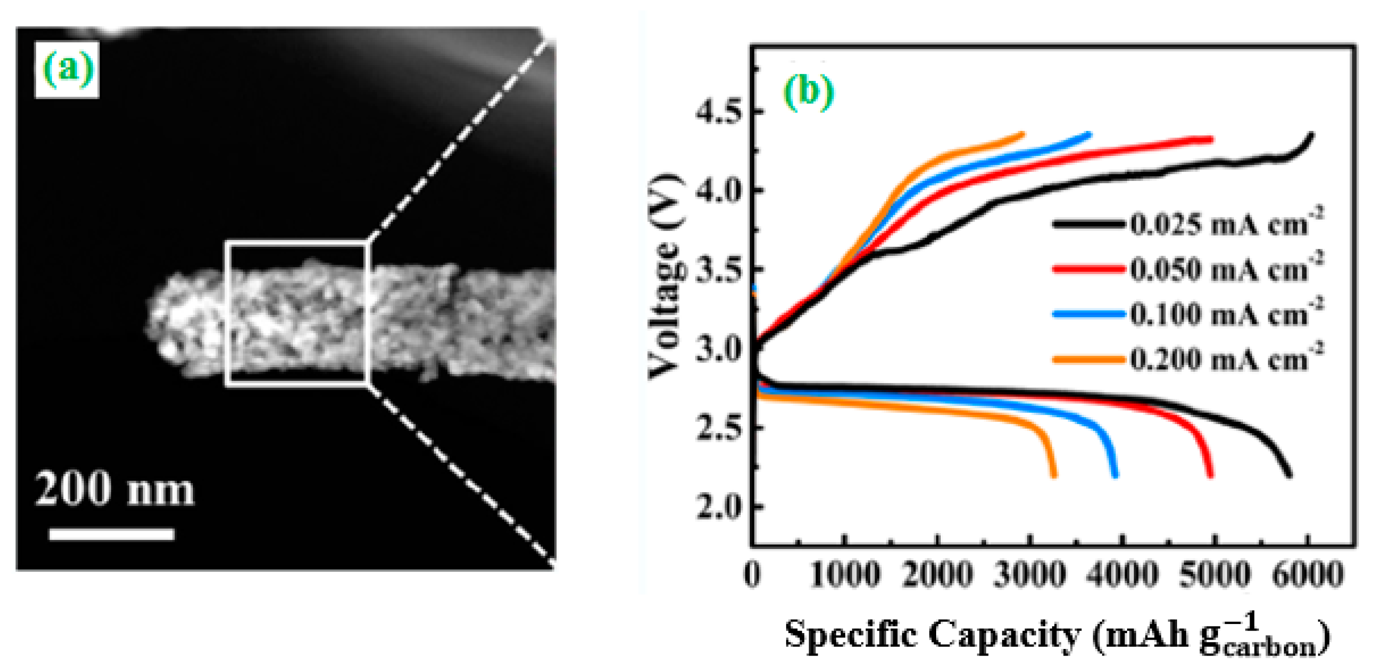 Catalysts 10 00938 g005