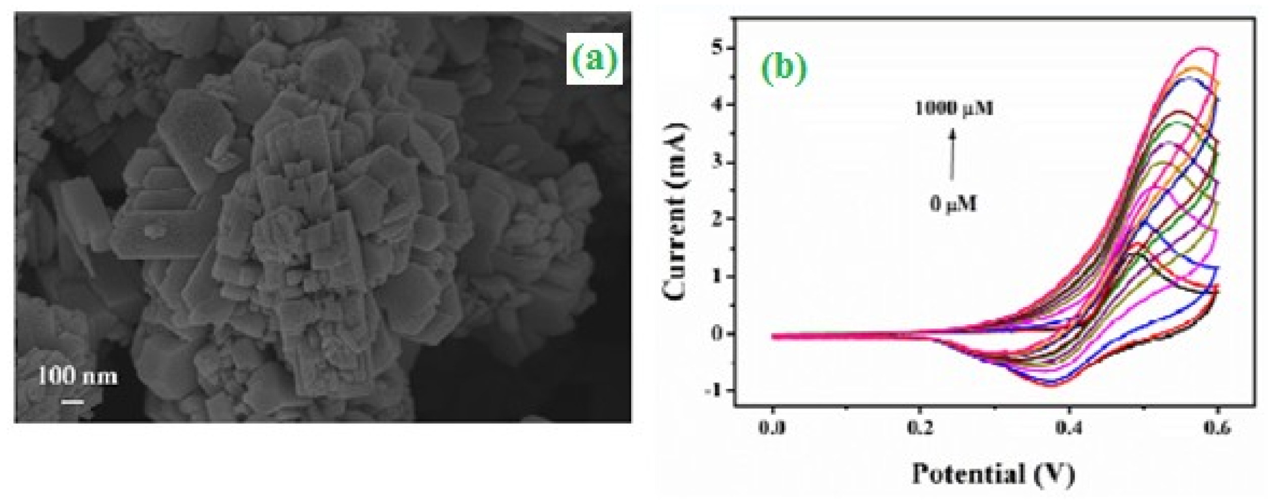 Catalysts 10 00938 g010
