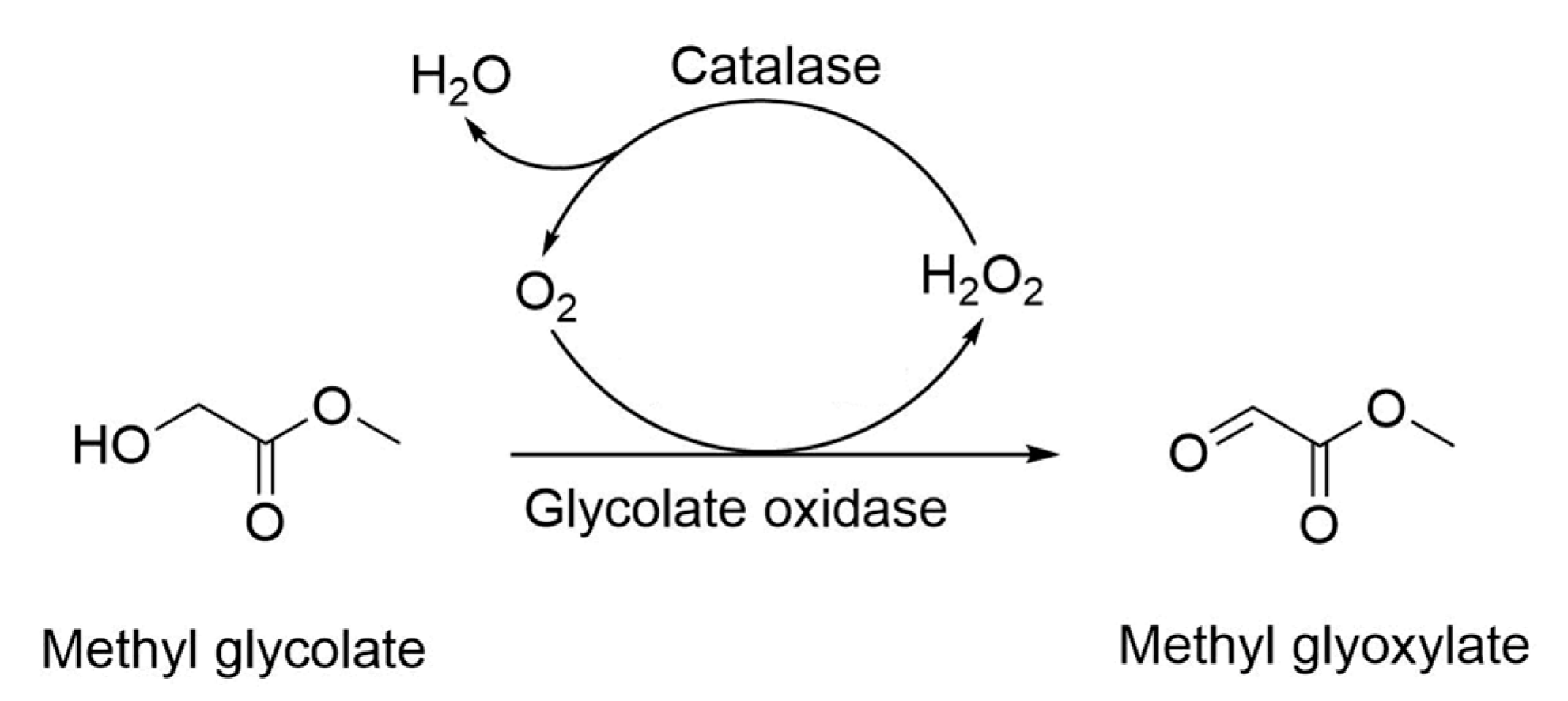 Catalysts 10 00943 sch001