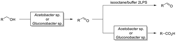 Catalysts 10 00952 i002 Catalysts 10 00952 i002