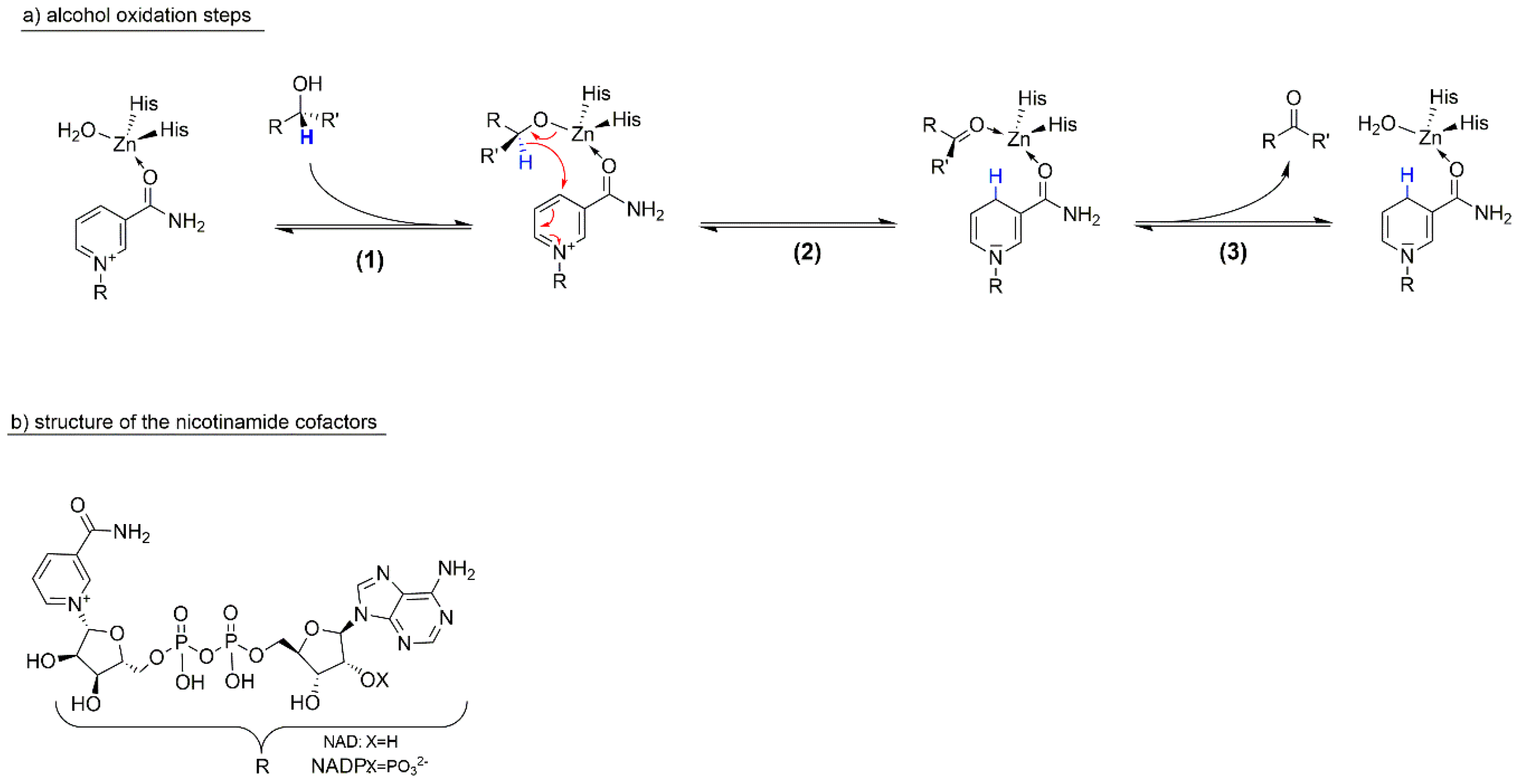 Catalysts 10 00952 sch001 Catalysts 10 00952 sch001