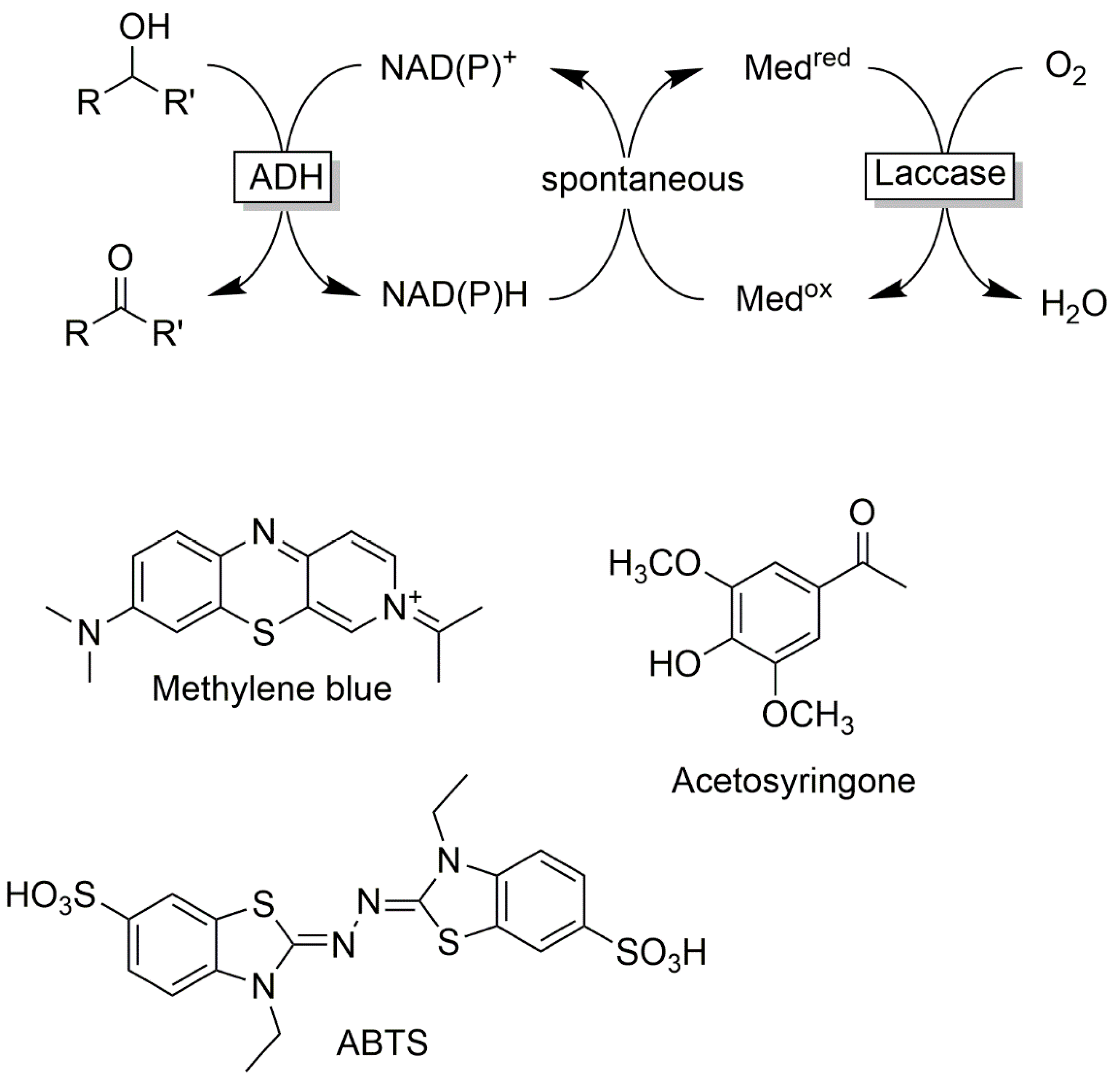 Catalysts 10 00952 sch003 Catalysts 10 00952 sch003