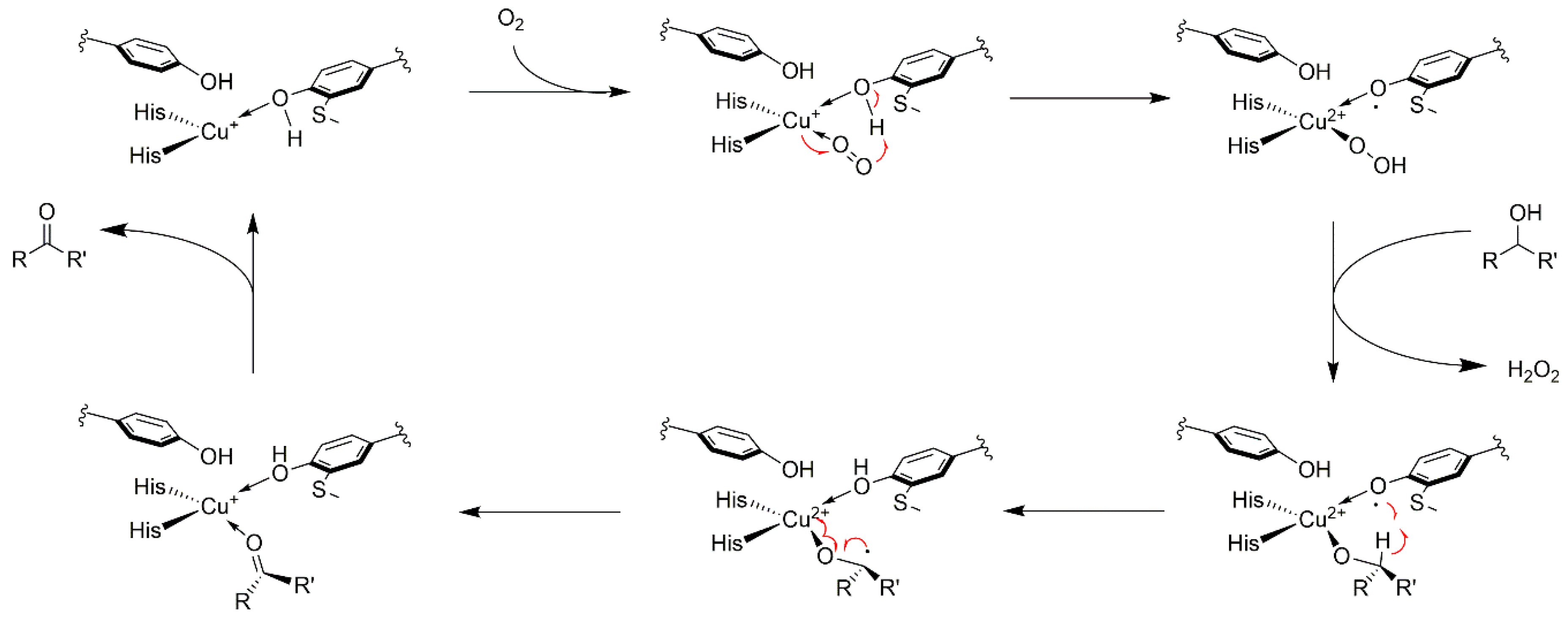 Catalysts 10 00952 sch005 Catalysts 10 00952 sch005
