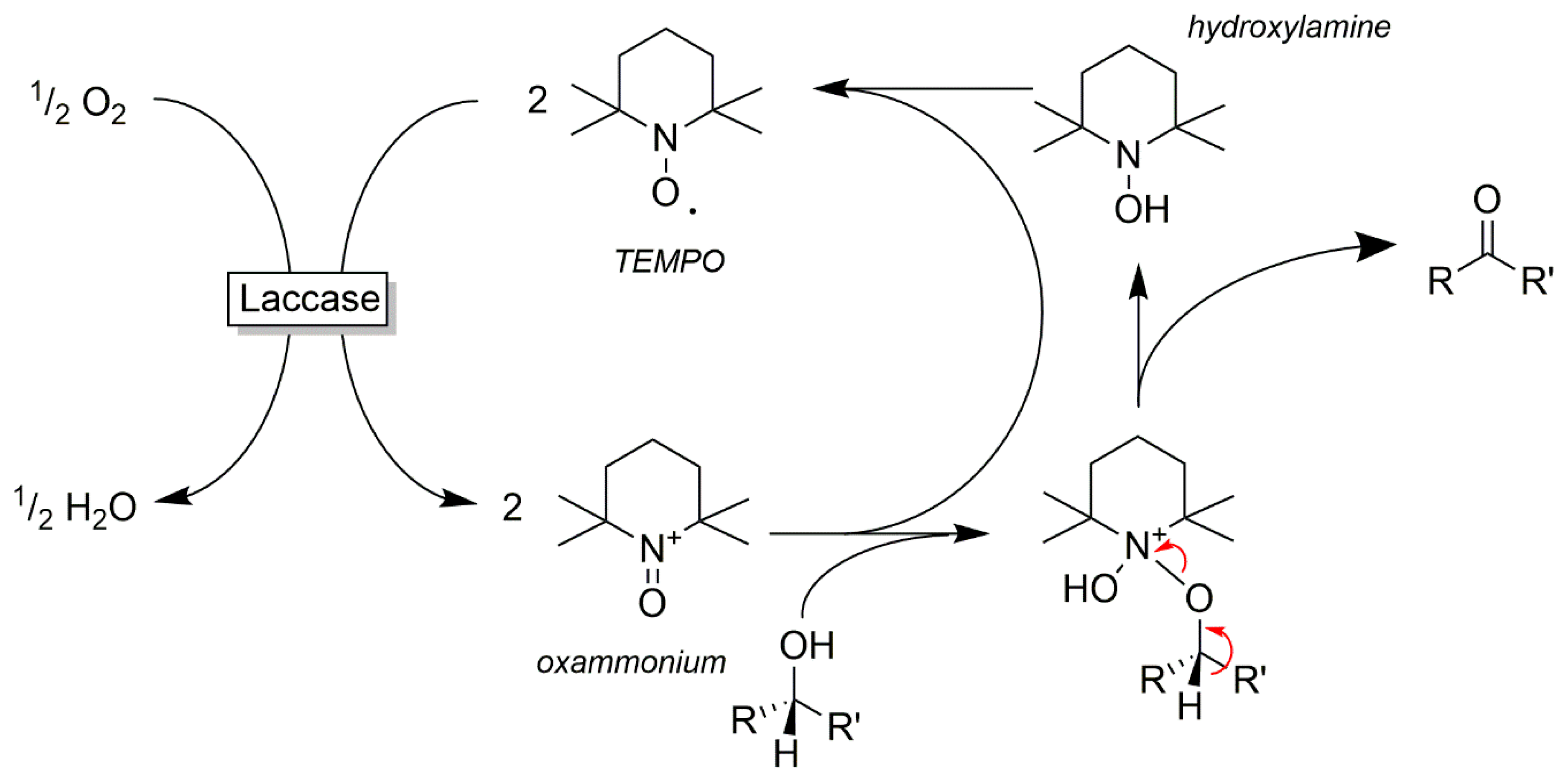 Catalysts 10 00952 sch006 Catalysts 10 00952 sch006