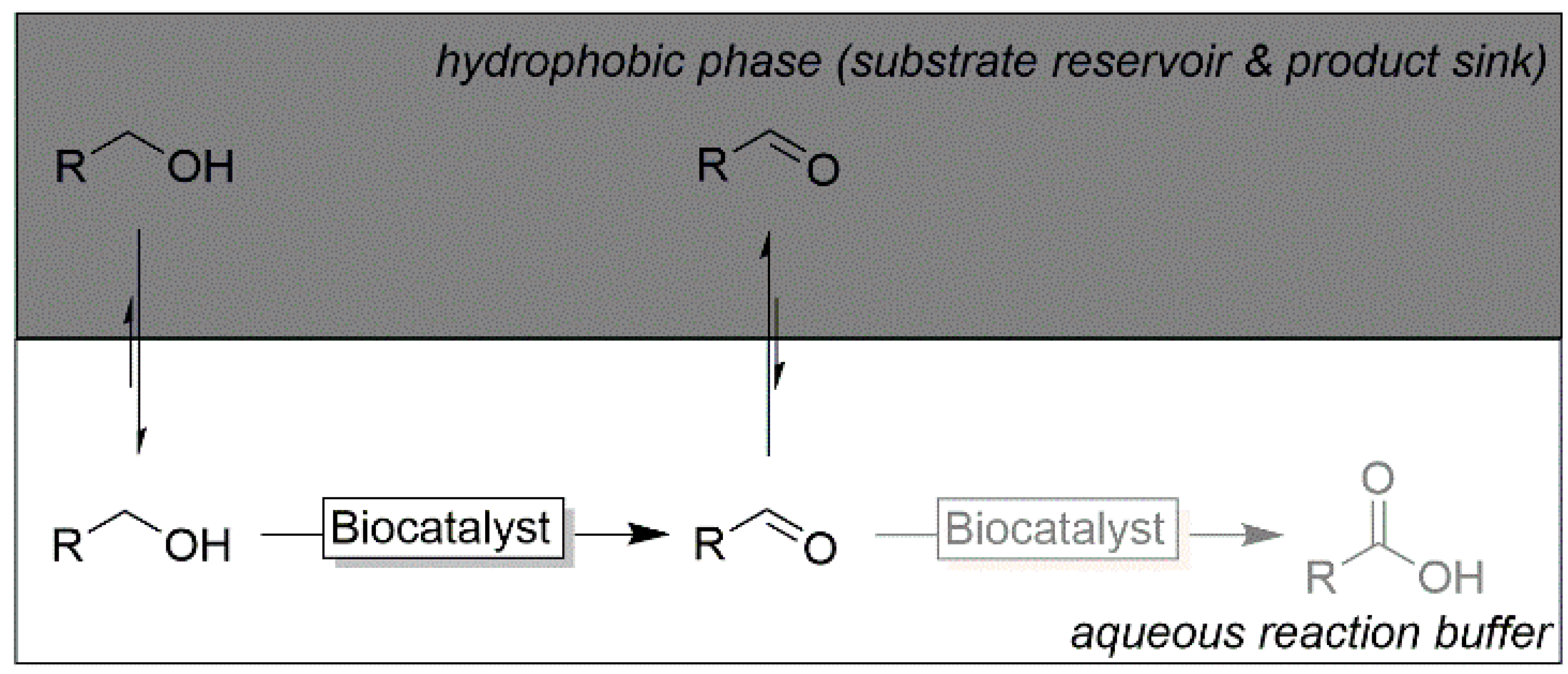 Catalysts 10 00952 sch007 Catalysts 10 00952 sch007