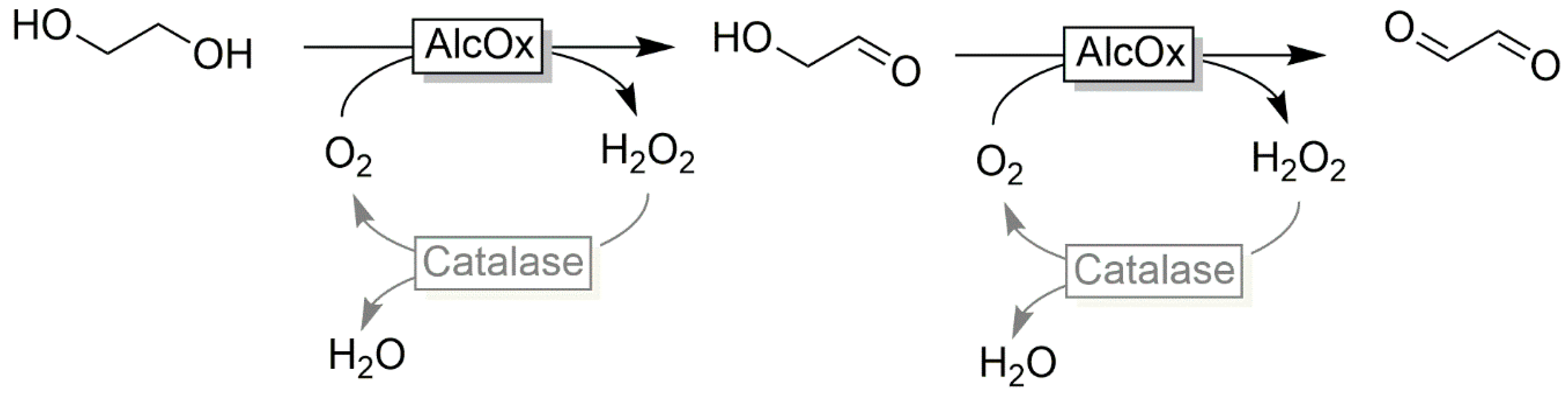 Catalysts 10 00952 sch008 Catalysts 10 00952 sch008