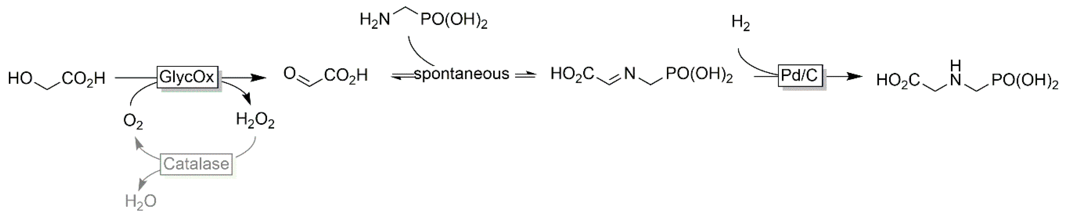 Catalysts 10 00952 sch009 Catalysts 10 00952 sch009