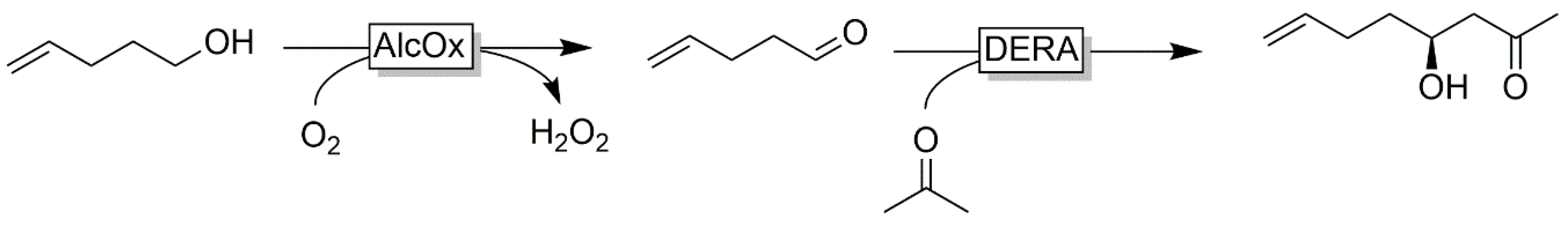 Catalysts 10 00952 sch010 Catalysts 10 00952 sch010