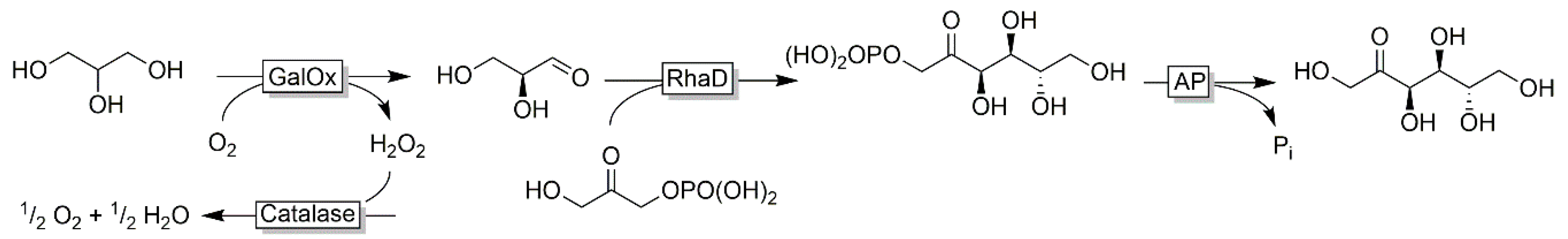 Catalysts 10 00952 sch011 Catalysts 10 00952 sch011