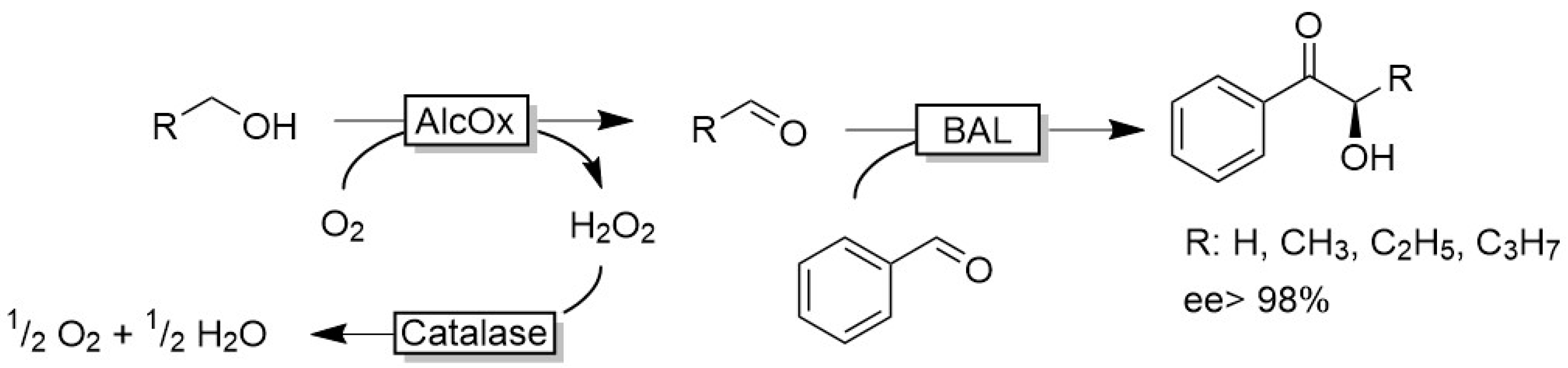 Catalysts 10 00952 sch012 Catalysts 10 00952 sch012