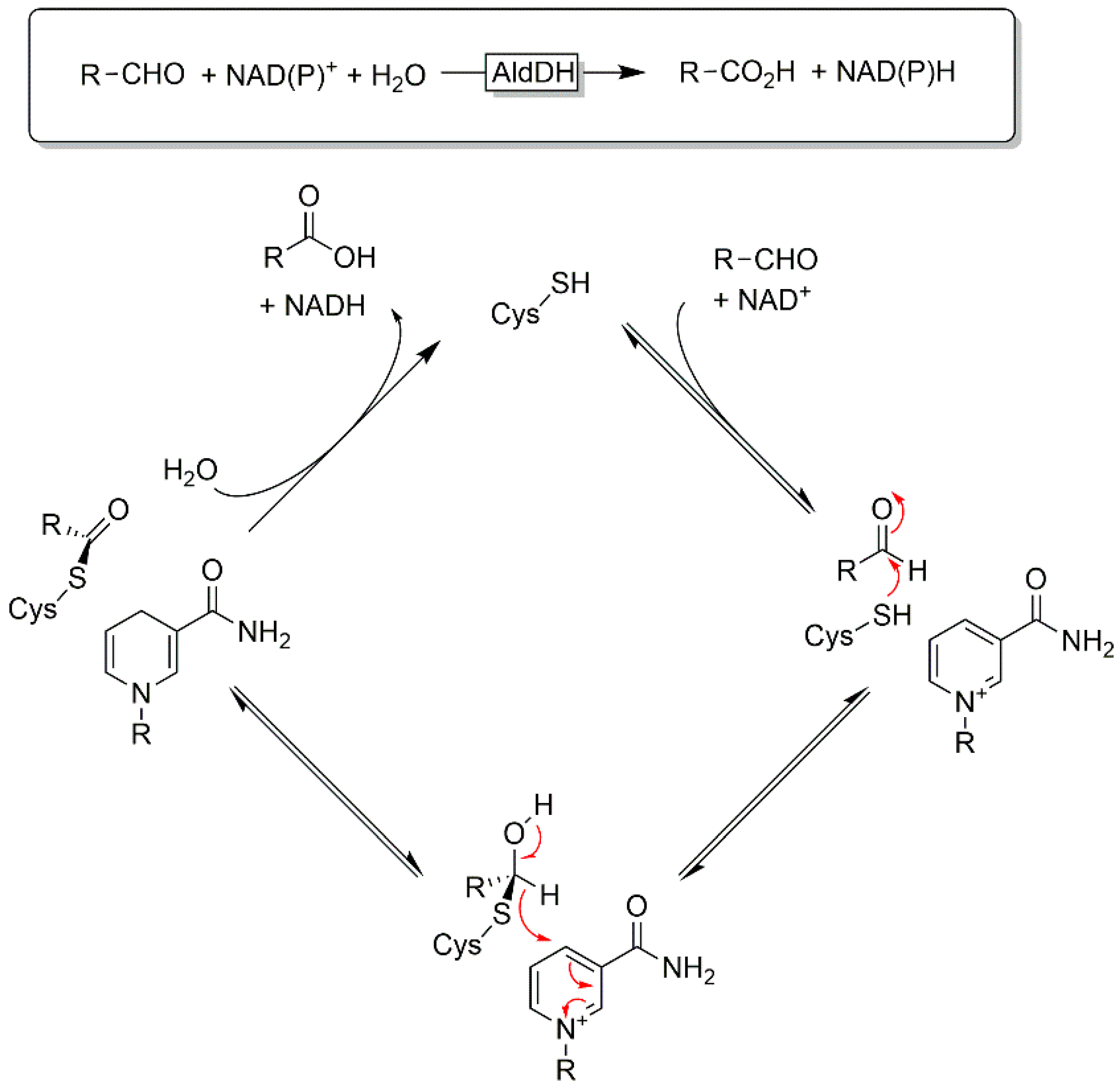 Catalysts 10 00952 sch015 Catalysts 10 00952 sch015