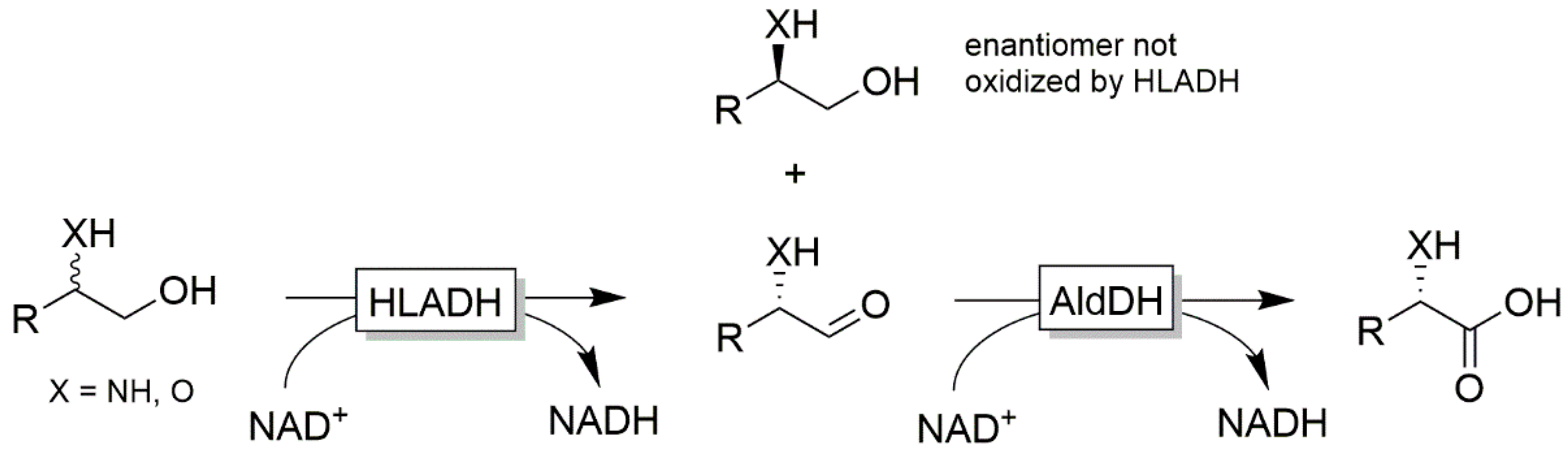 Catalysts 10 00952 sch016 Catalysts 10 00952 sch016