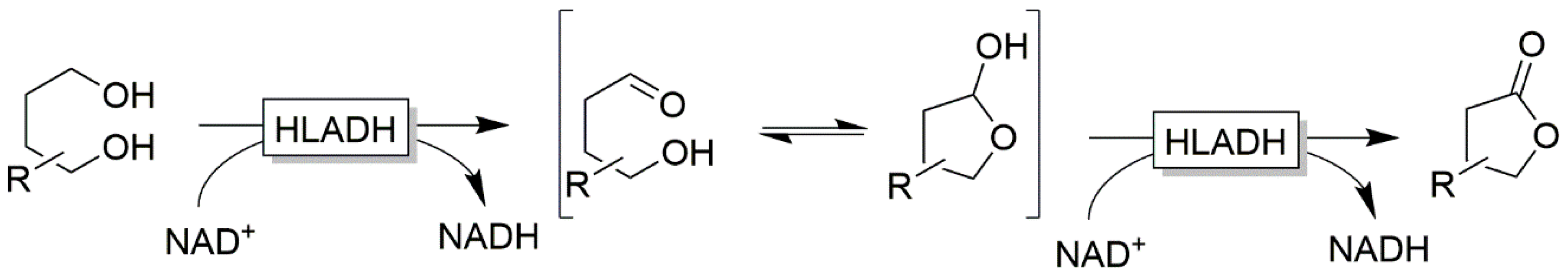 Catalysts 10 00952 sch017 Catalysts 10 00952 sch017