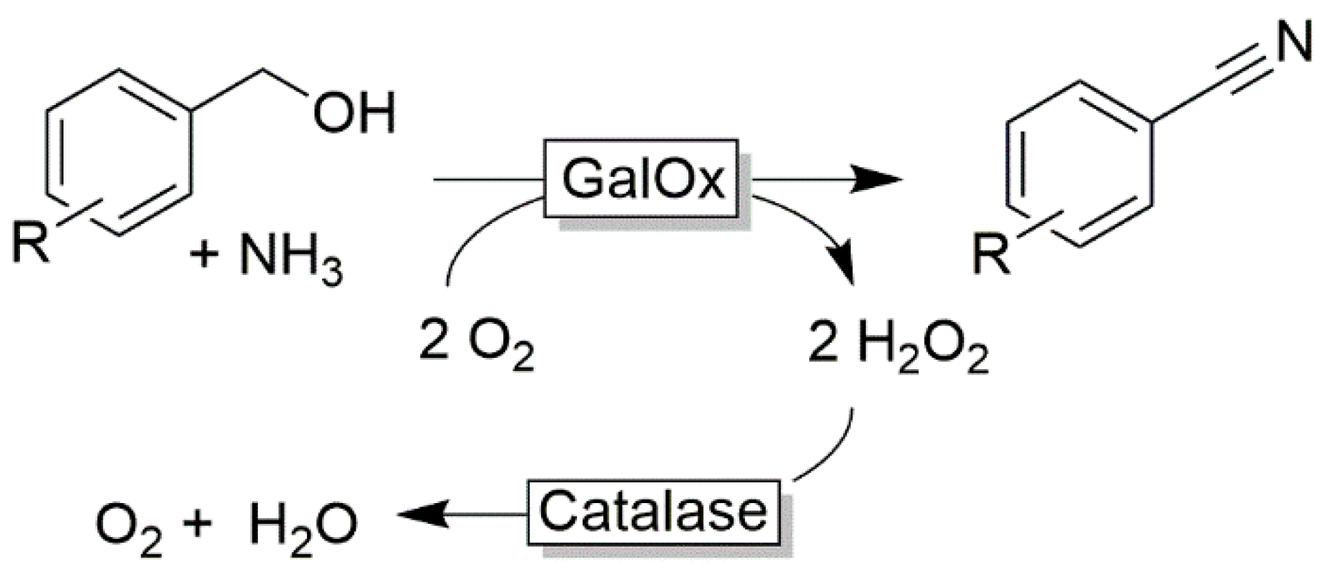 Catalysts 10 00952 sch019 Catalysts 10 00952 sch019