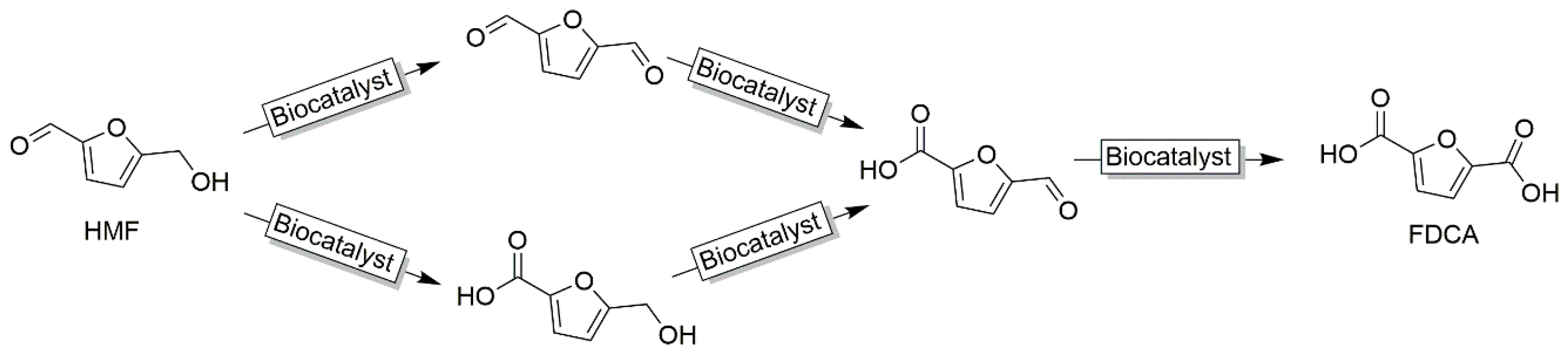 Catalysts 10 00952 sch020 Catalysts 10 00952 sch020