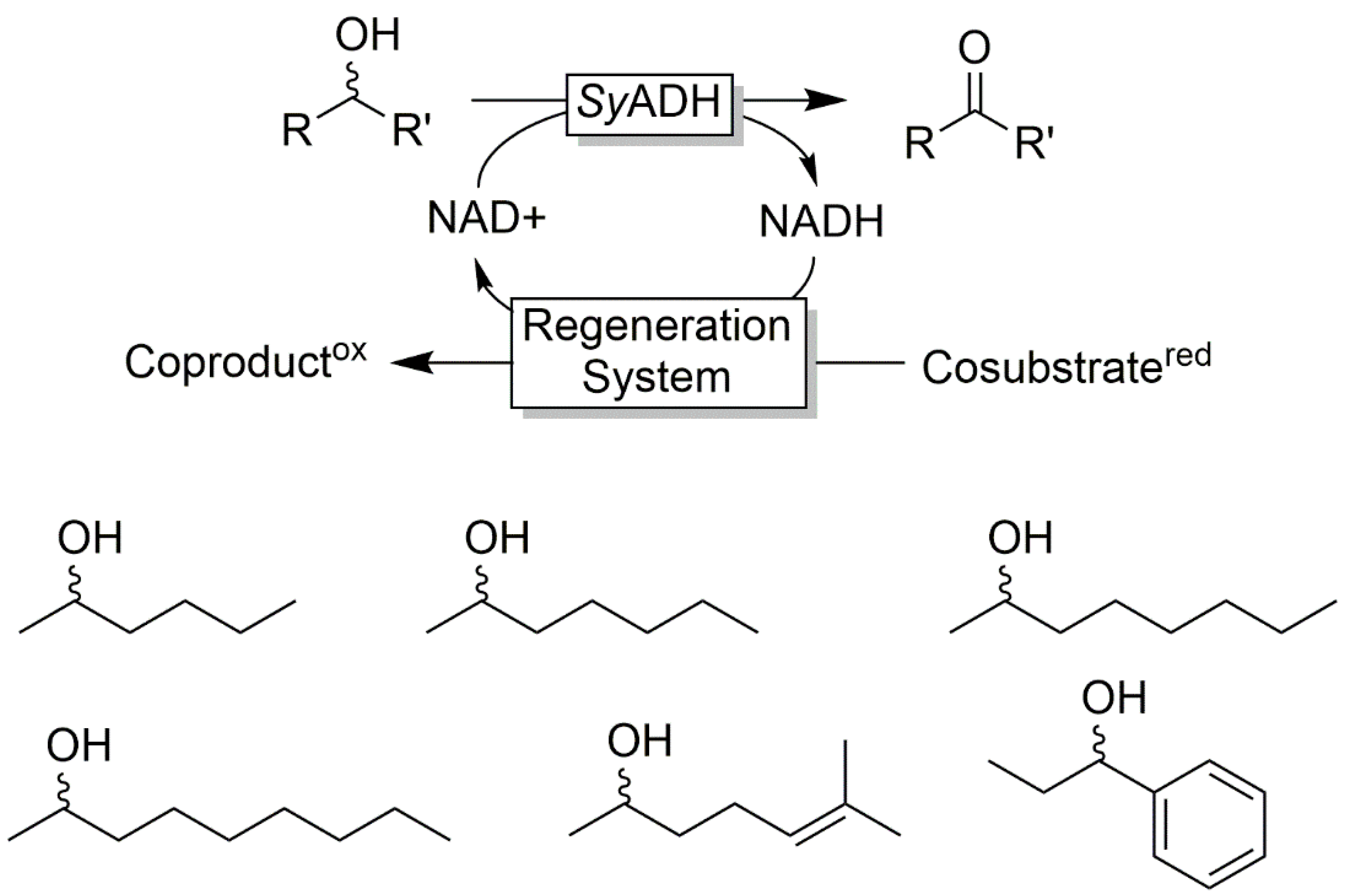 Catalysts 10 00952 sch021 Catalysts 10 00952 sch021