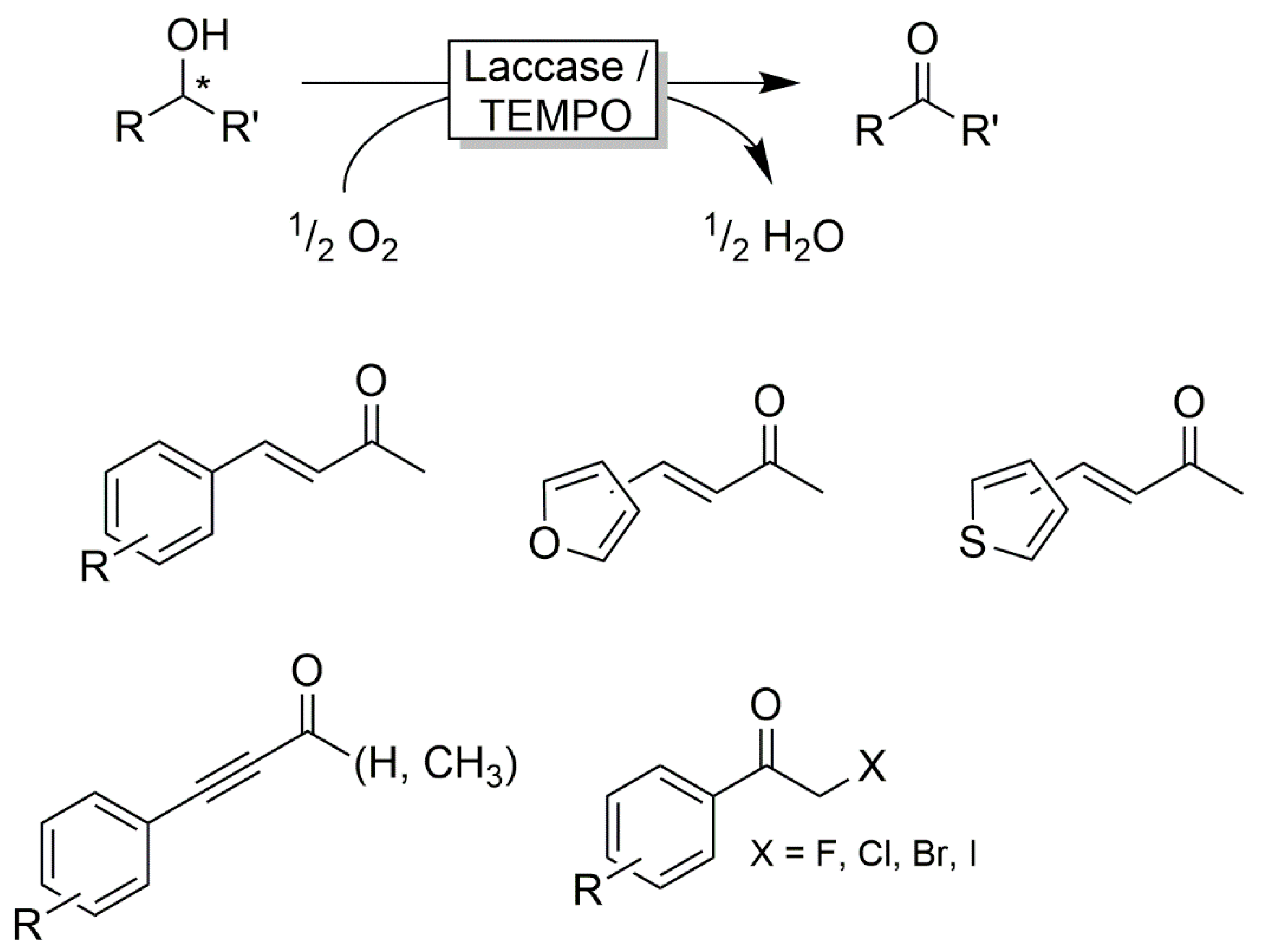 Catalysts 10 00952 sch022 Catalysts 10 00952 sch022