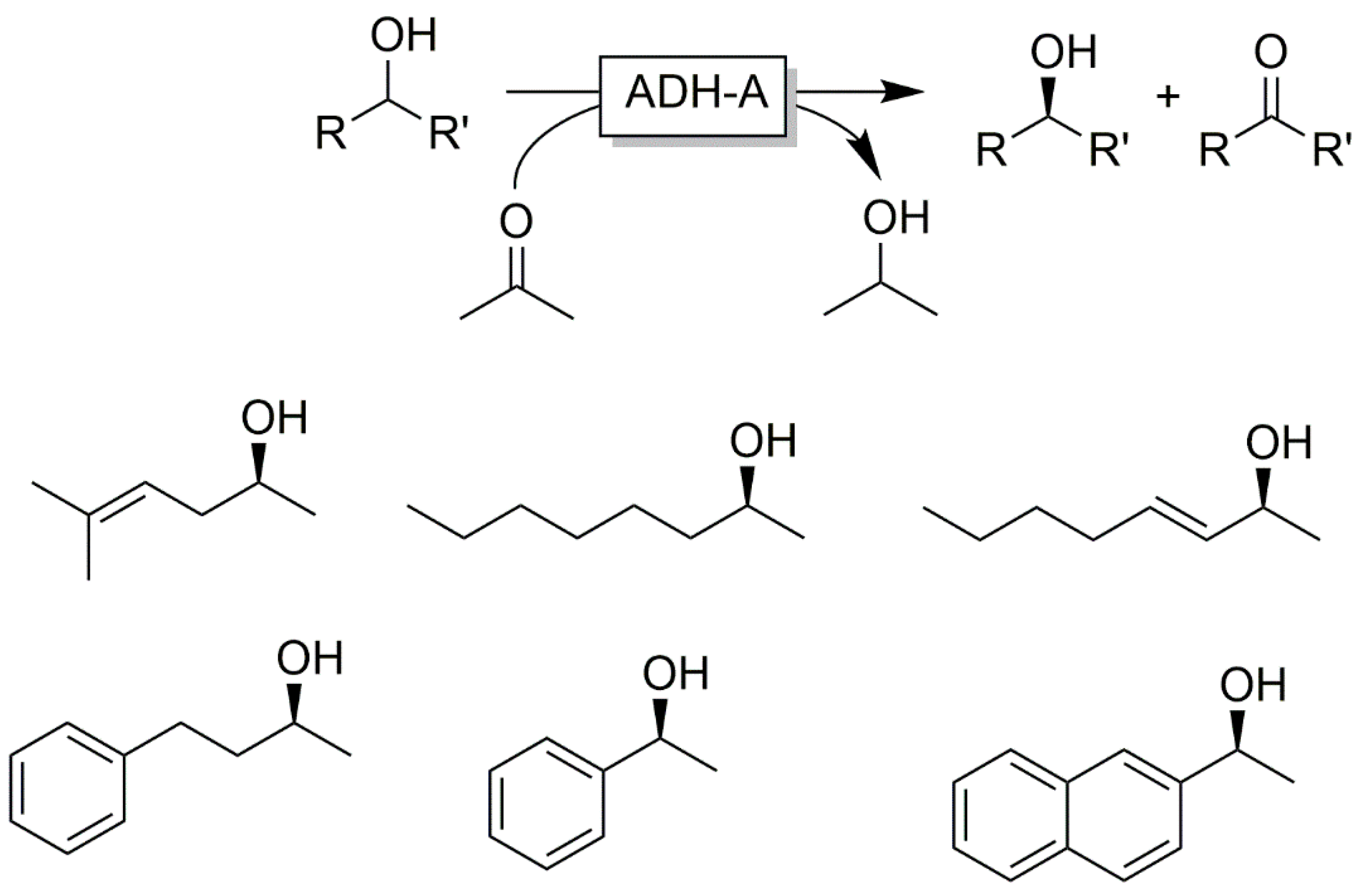 Catalysts 10 00952 sch024 Catalysts 10 00952 sch024