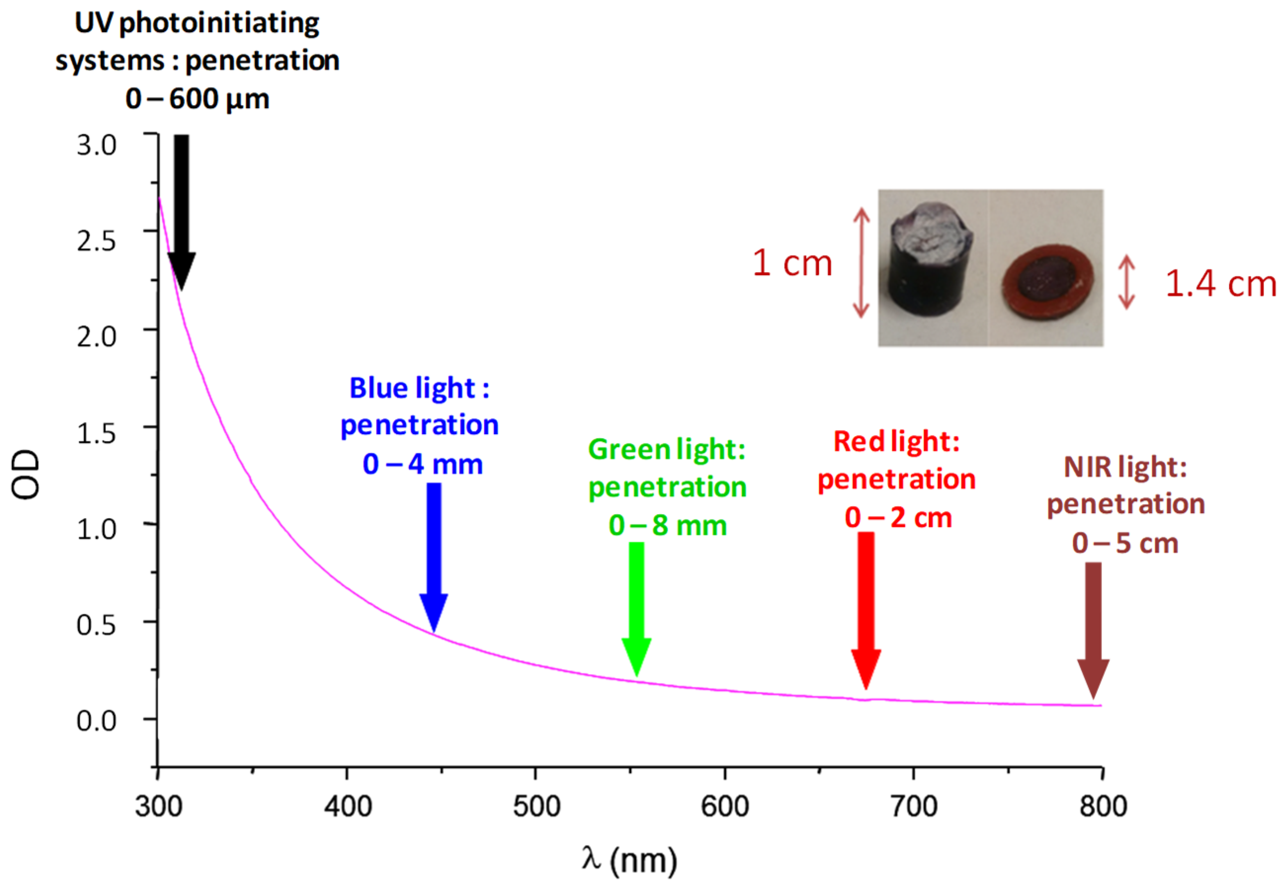 Catalysts 10 00953 g001 Catalysts 10 00953 g001