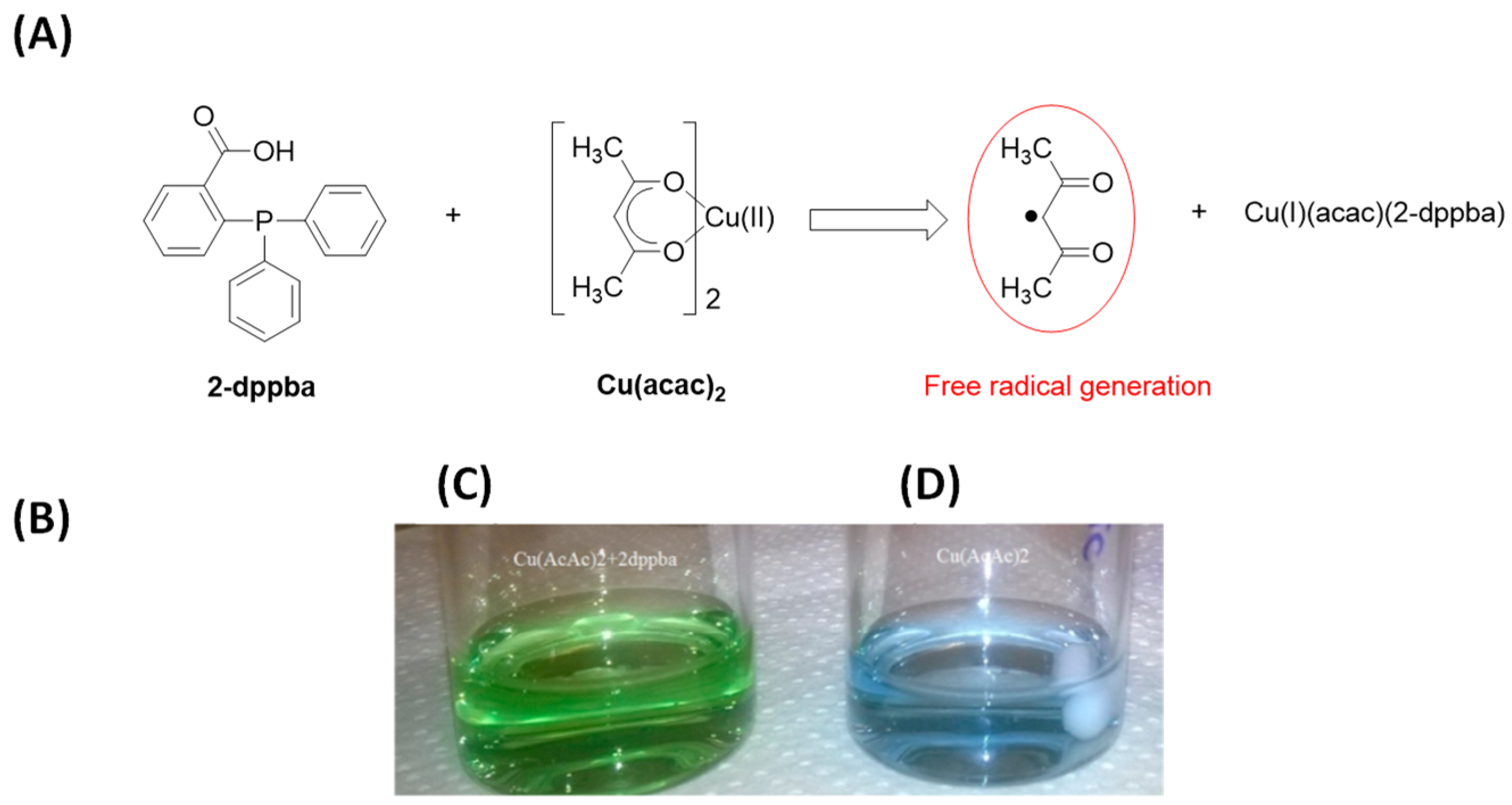 Catalysts 10 00953 g025 Catalysts 10 00953 g025