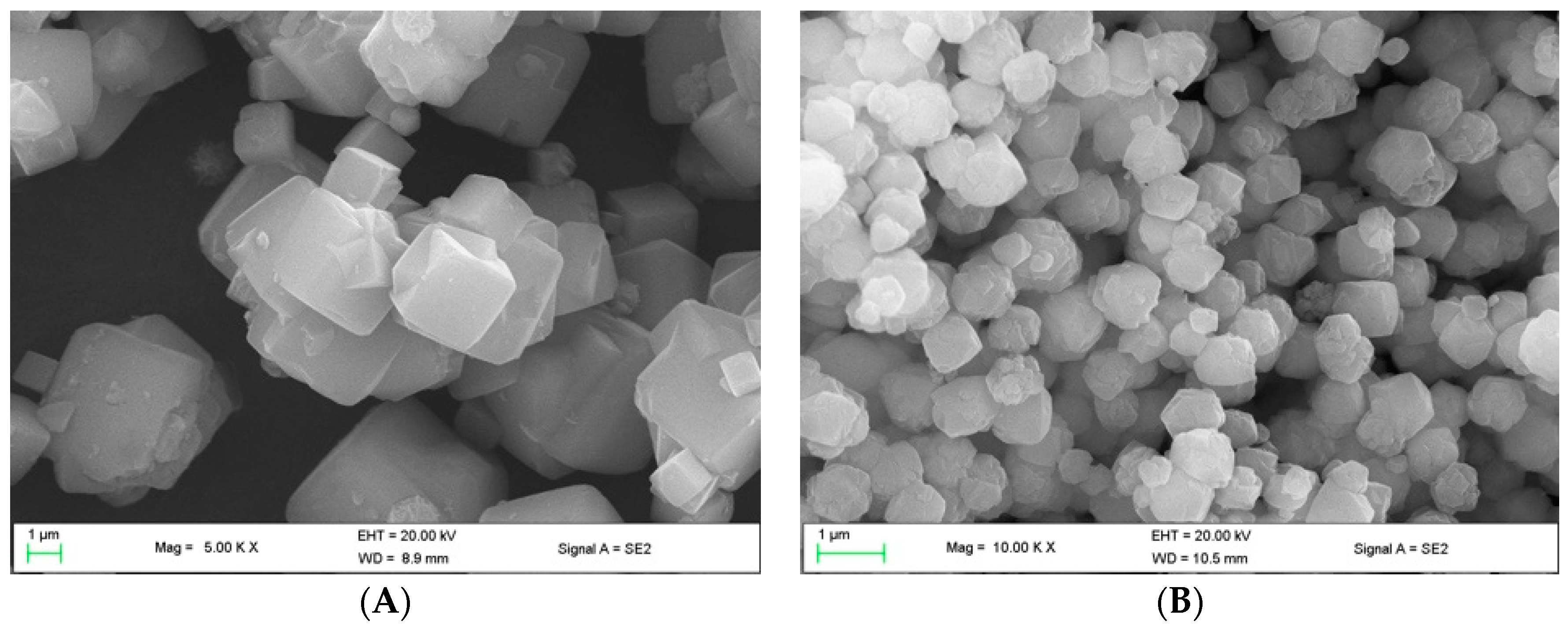Catalysts 10 00975 g003